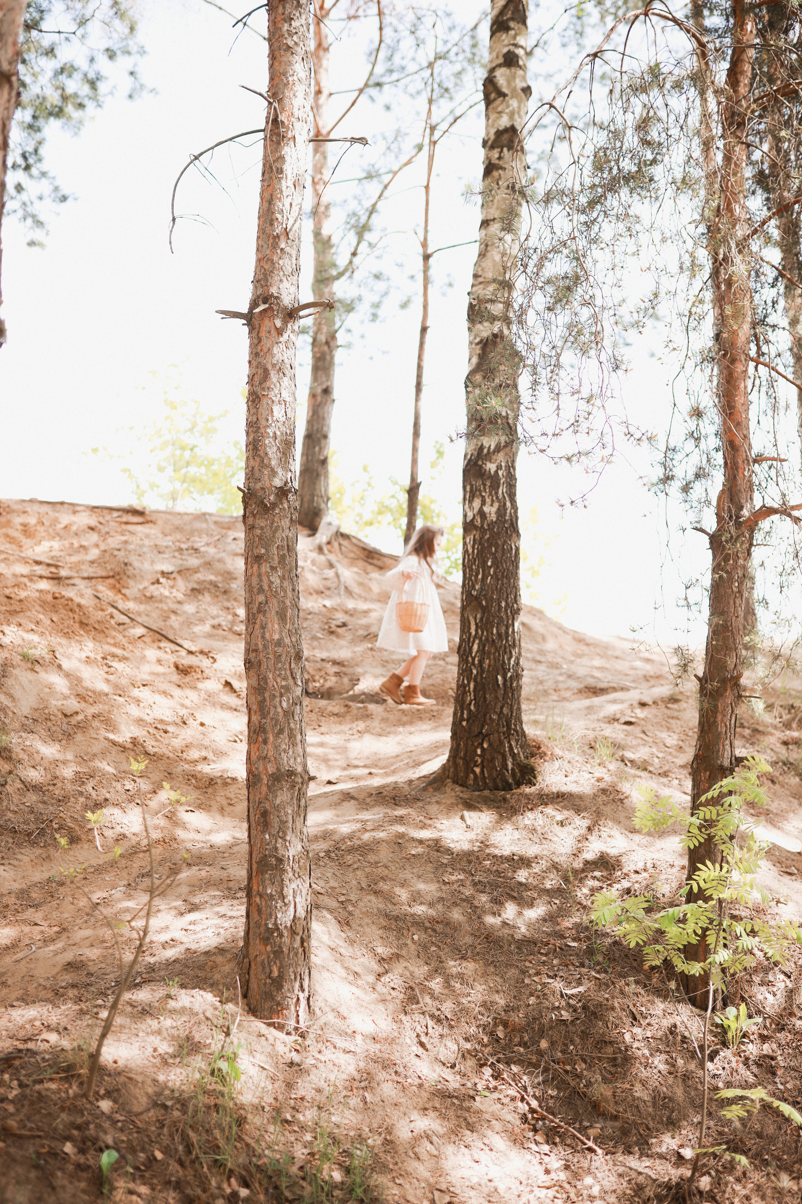 Анна и Ева карьеры. Детский и семейный фотограф Москва Виктория Самоховец
