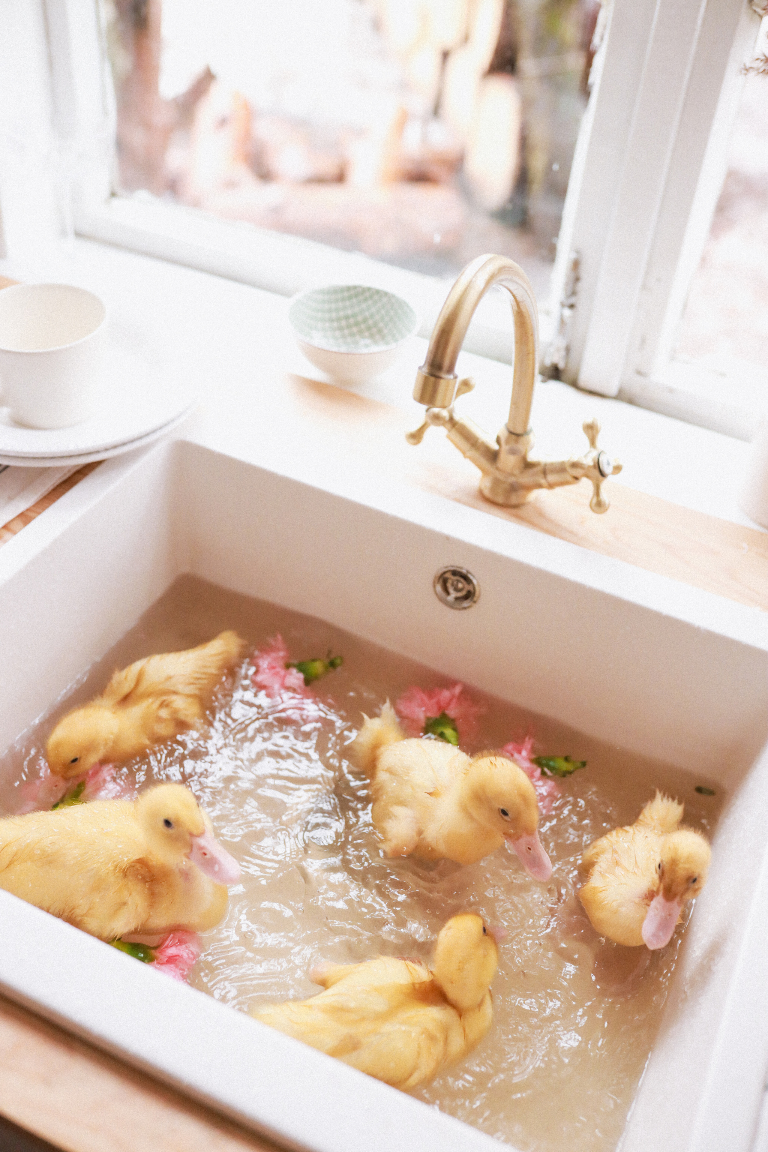 Катя Пасха. Детский и семейный фотограф Москва Виктория Самоховец