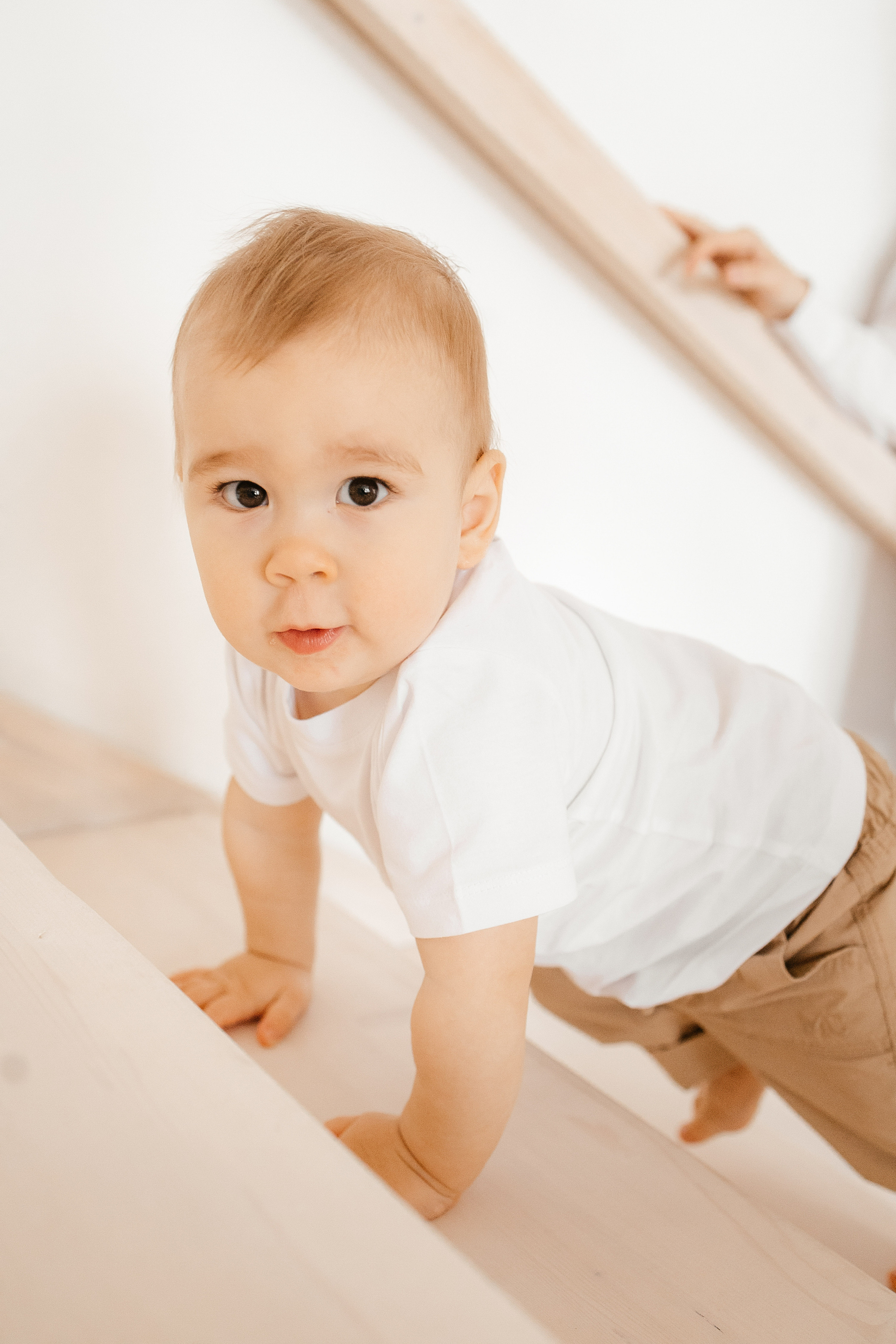 Лев с родителями. Фотограф в Красноярске Надежда Воскресенская