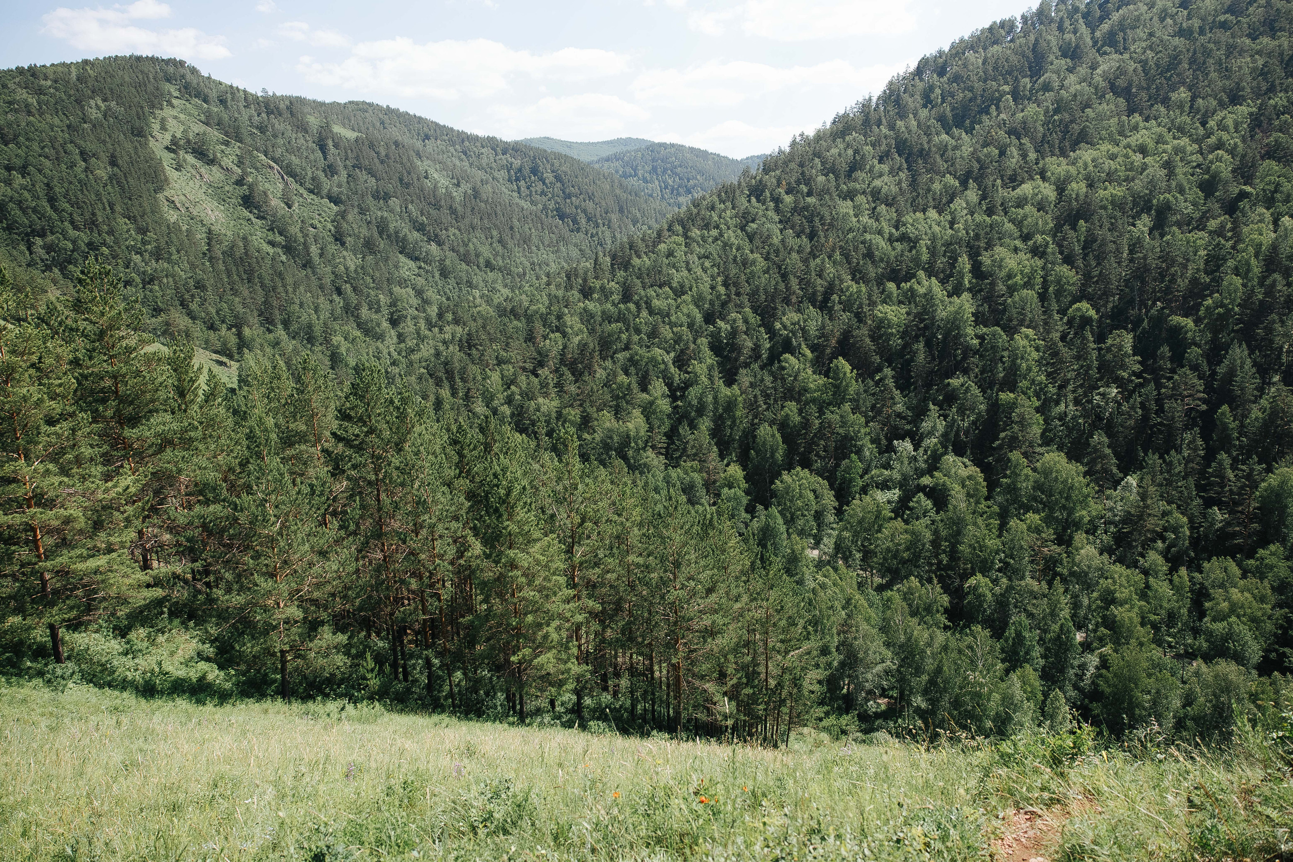 Иван Наталья. Фотограф в Красноярске Надежда Воскресенская