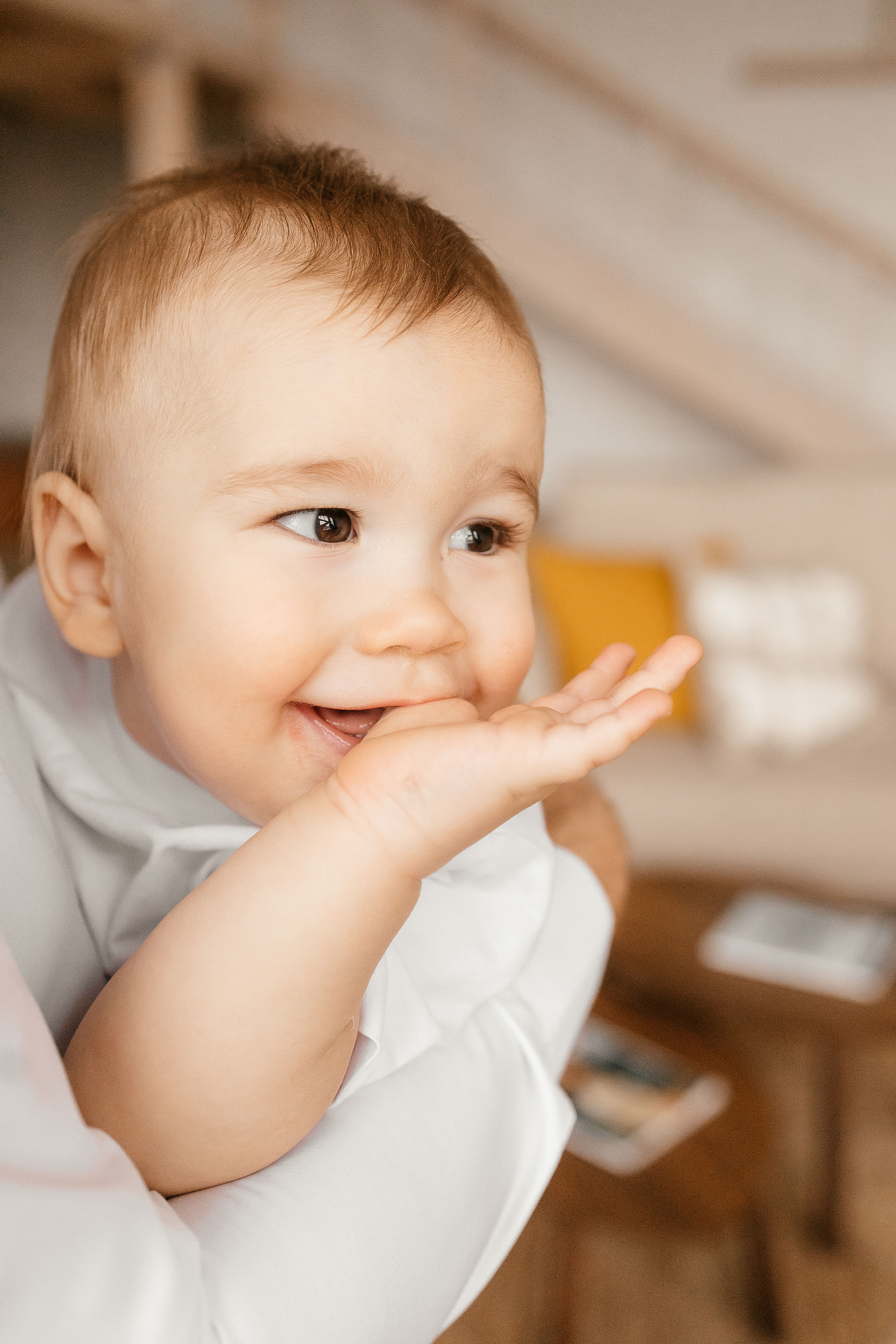 Лев с родителями. Фотограф в Красноярске Надежда Воскресенская