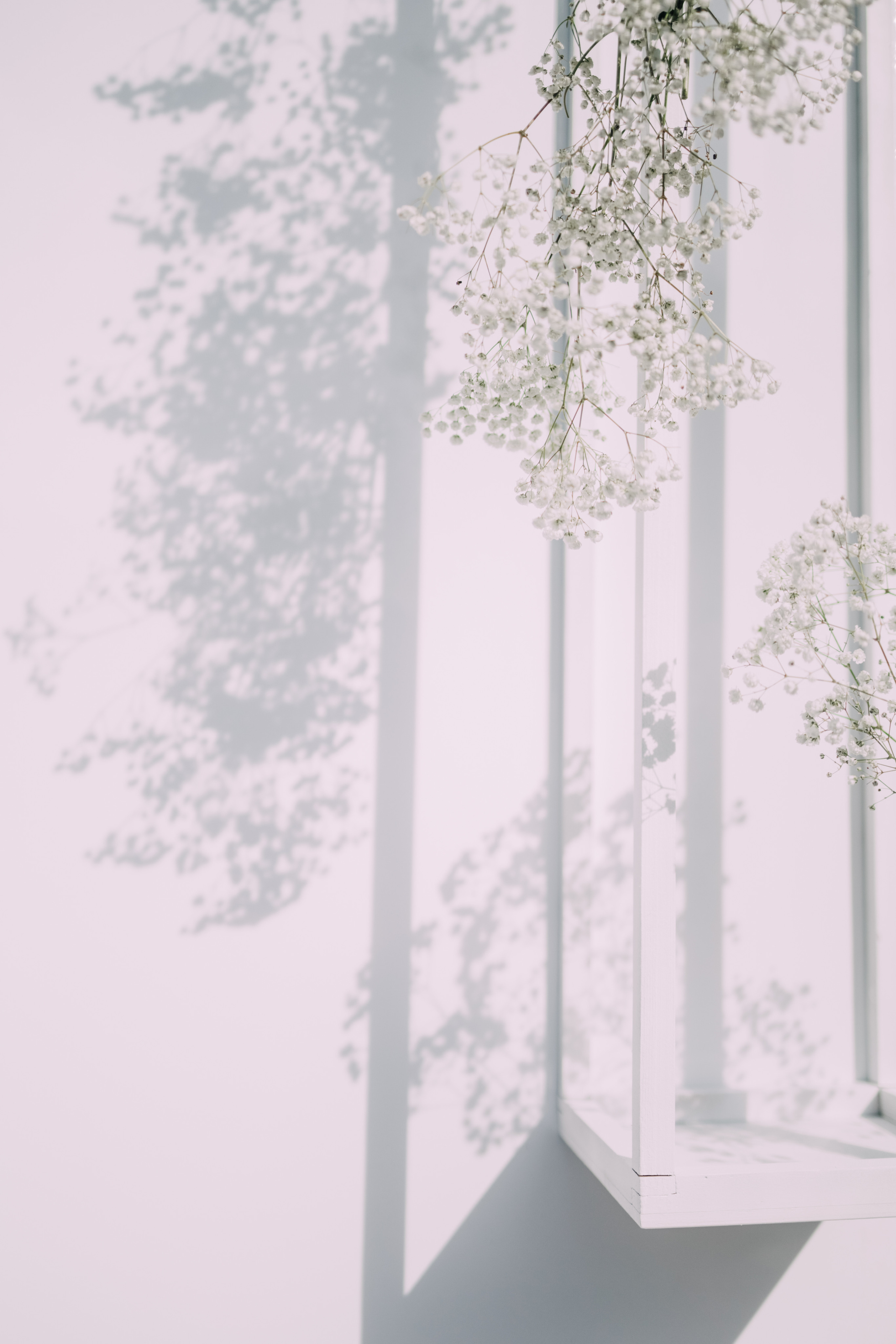 Только в белом. Фотограф в Красноярске Надежда Воскресенская