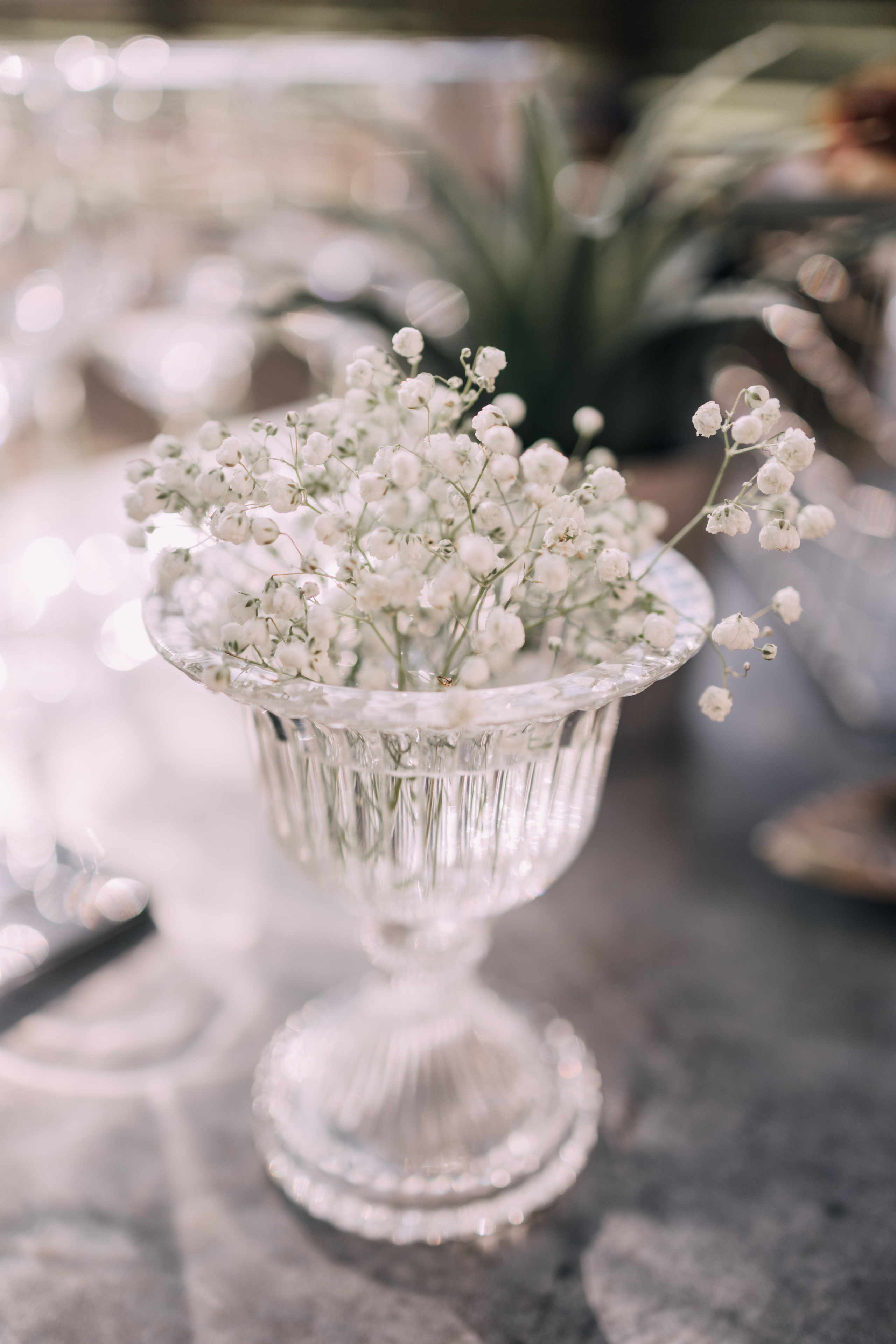 Только в белом. Фотограф в Красноярске Надежда Воскресенская