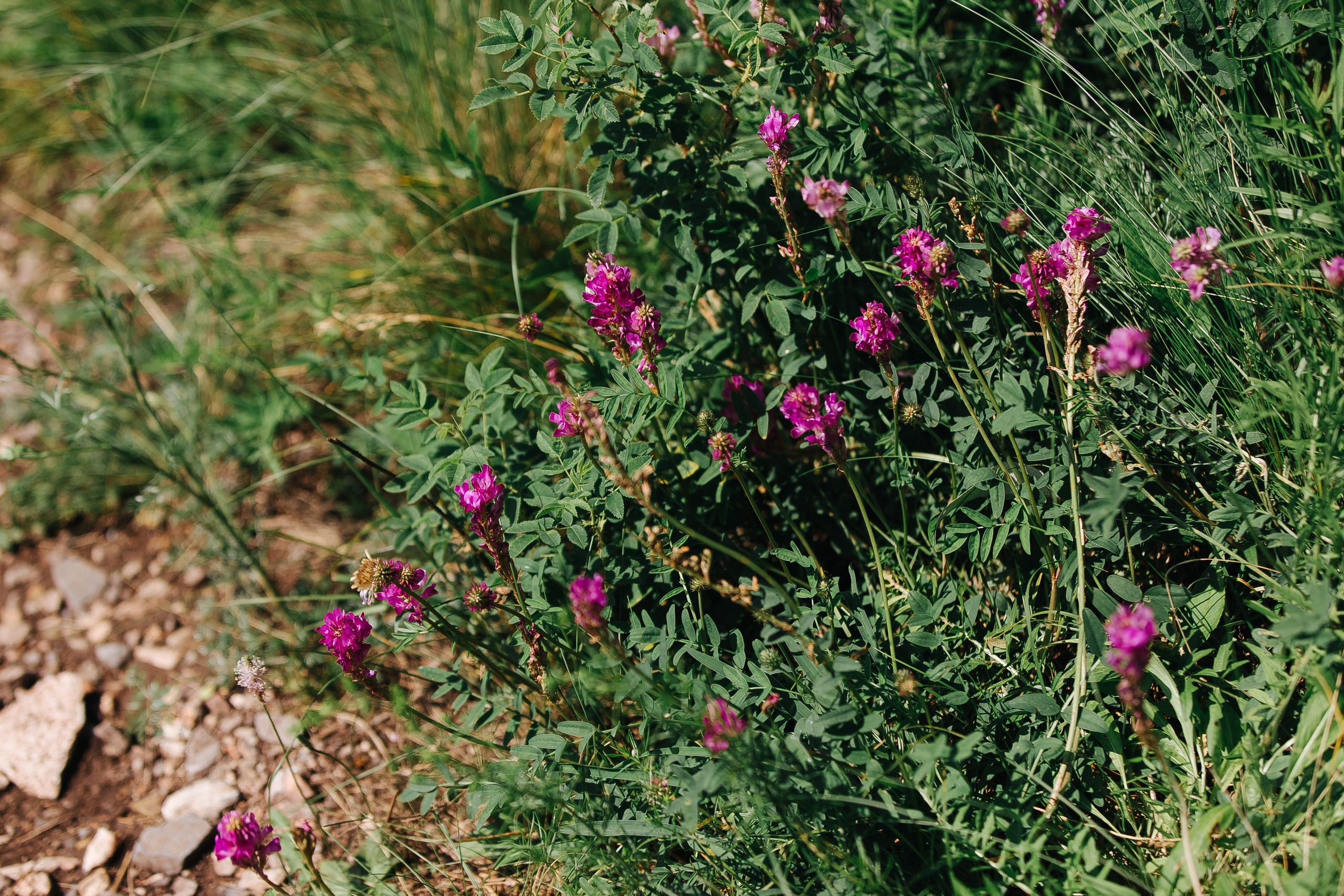 Иван Наталья. Фотограф в Красноярске Надежда Воскресенская