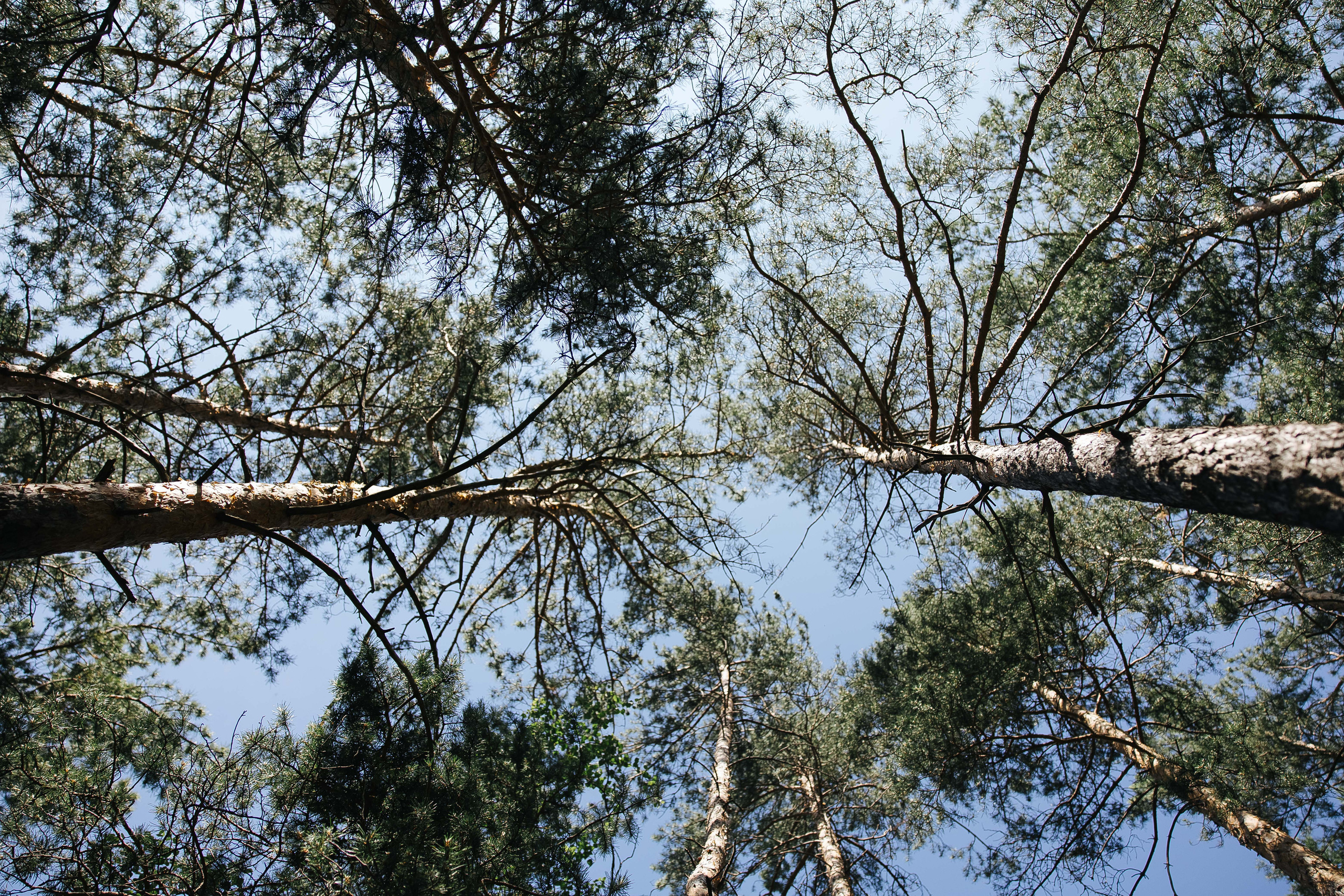 Иван Наталья. Фотограф в Красноярске Надежда Воскресенская