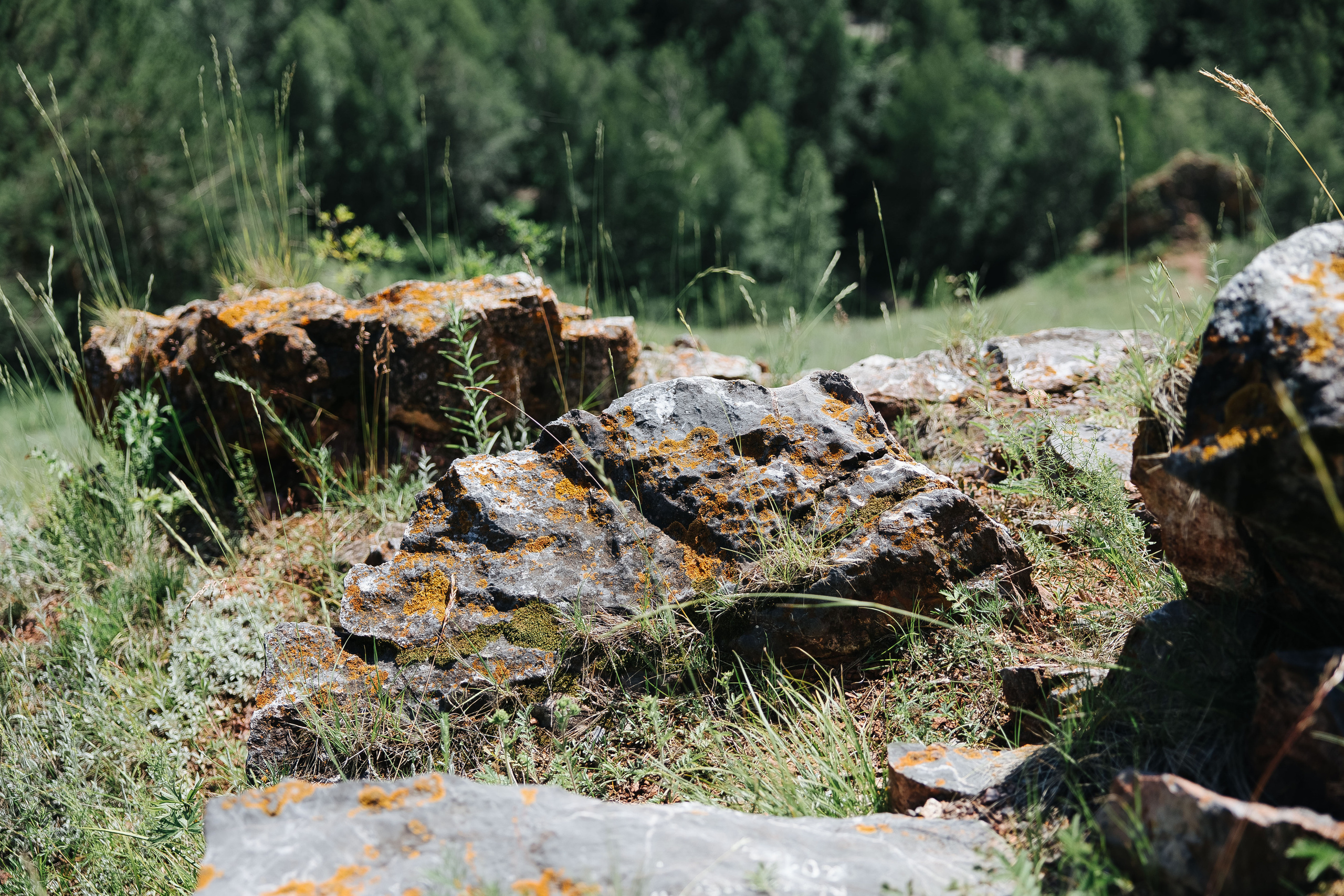 Иван Наталья. Фотограф в Красноярске Надежда Воскресенская