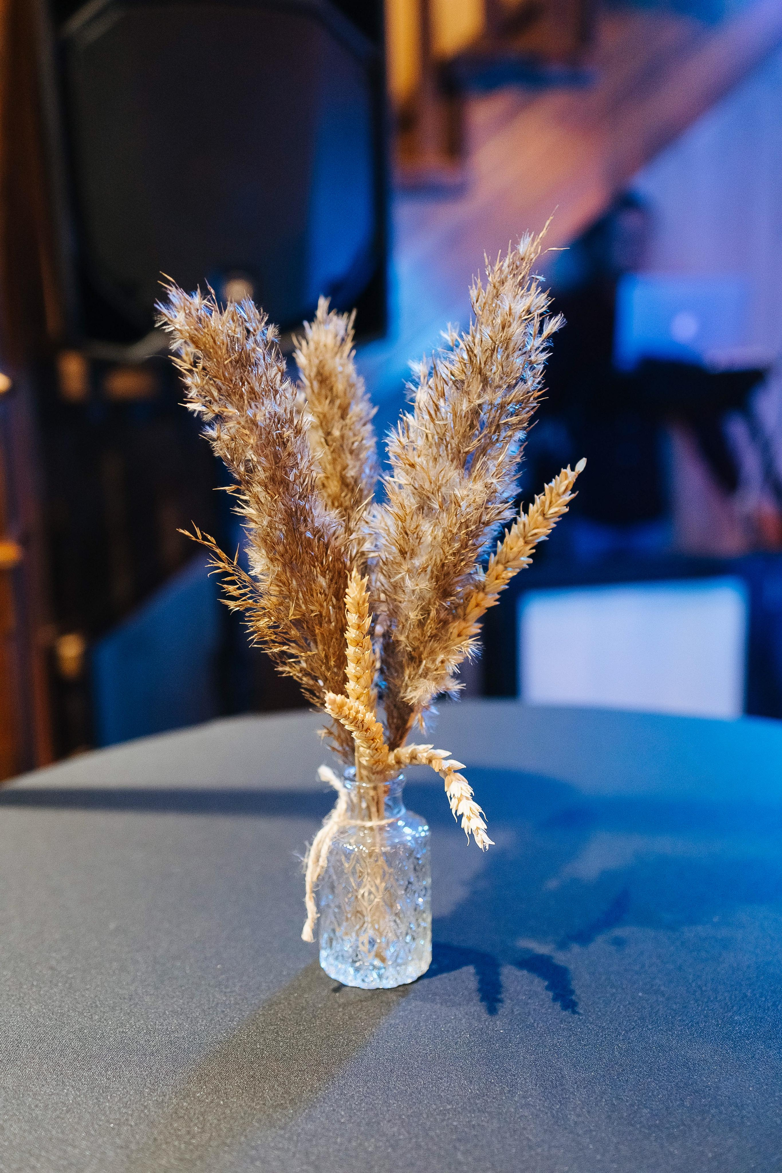 За городом. Фотограф в Красноярске Надежда Воскресенская