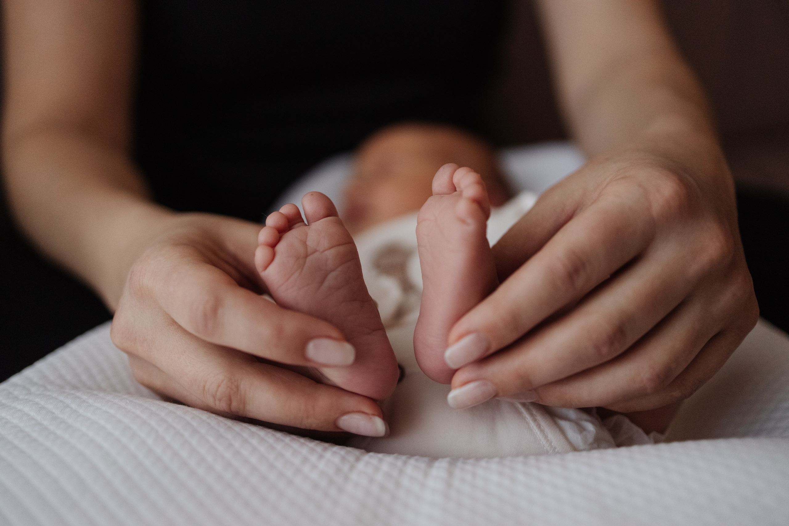 Гордей. Фотограф Новосибирск