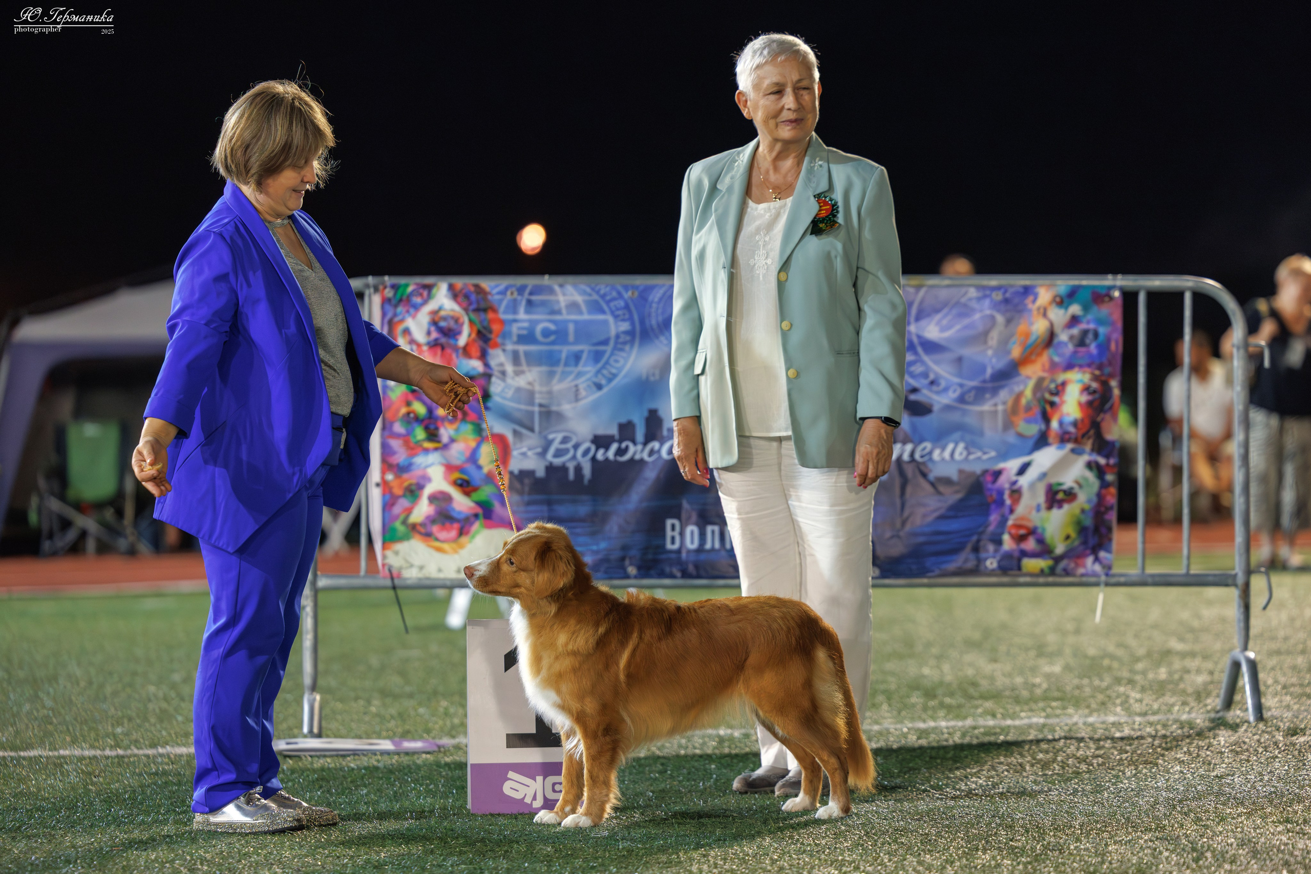 Калининград 25-27.07 Волгоград 1-3.08 2025. Фотограф-анималист Юлия Германика