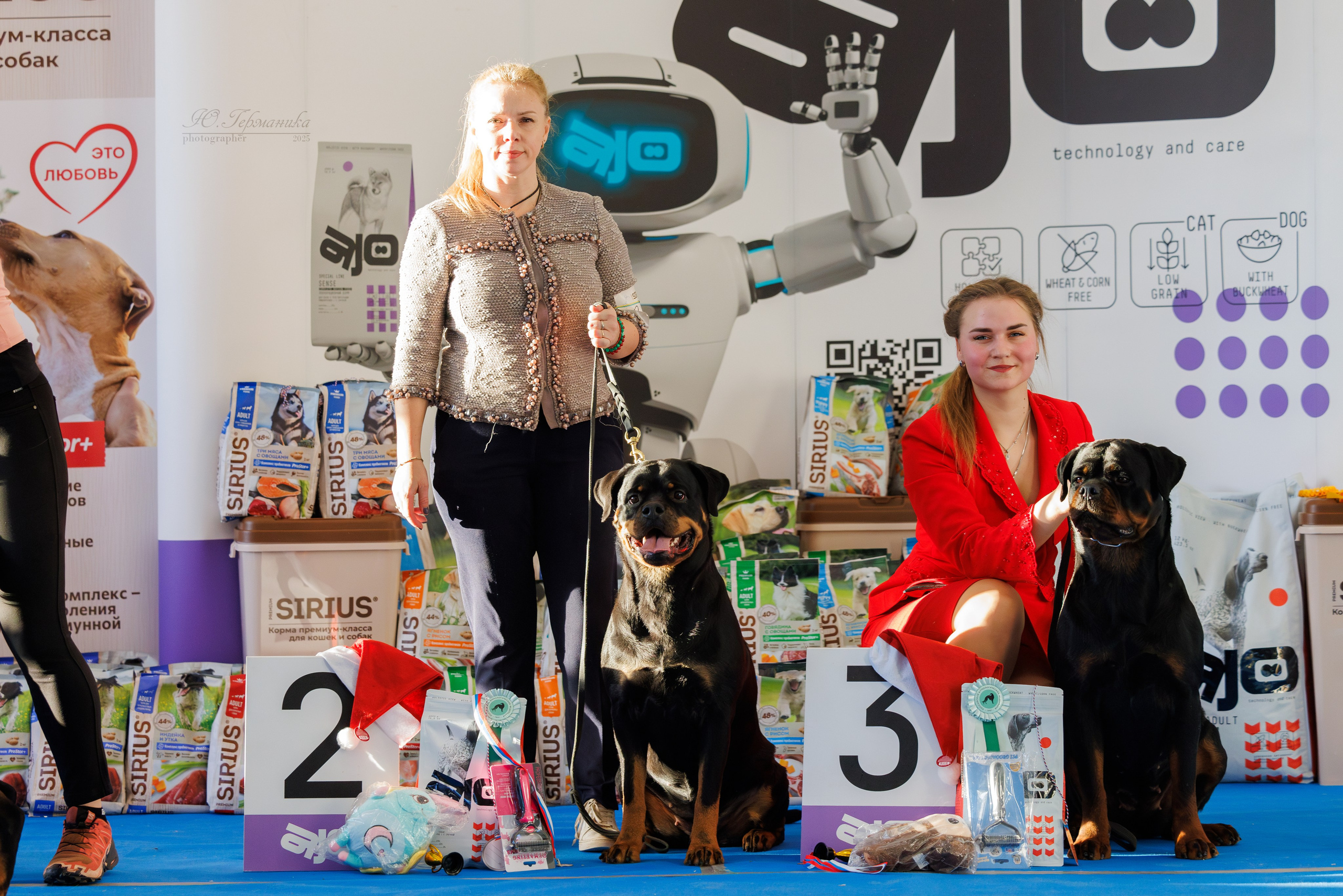 Питер ротвейлеры 18.01,Крокус 19.01.2025. Фотограф-анималист Юлия Германика