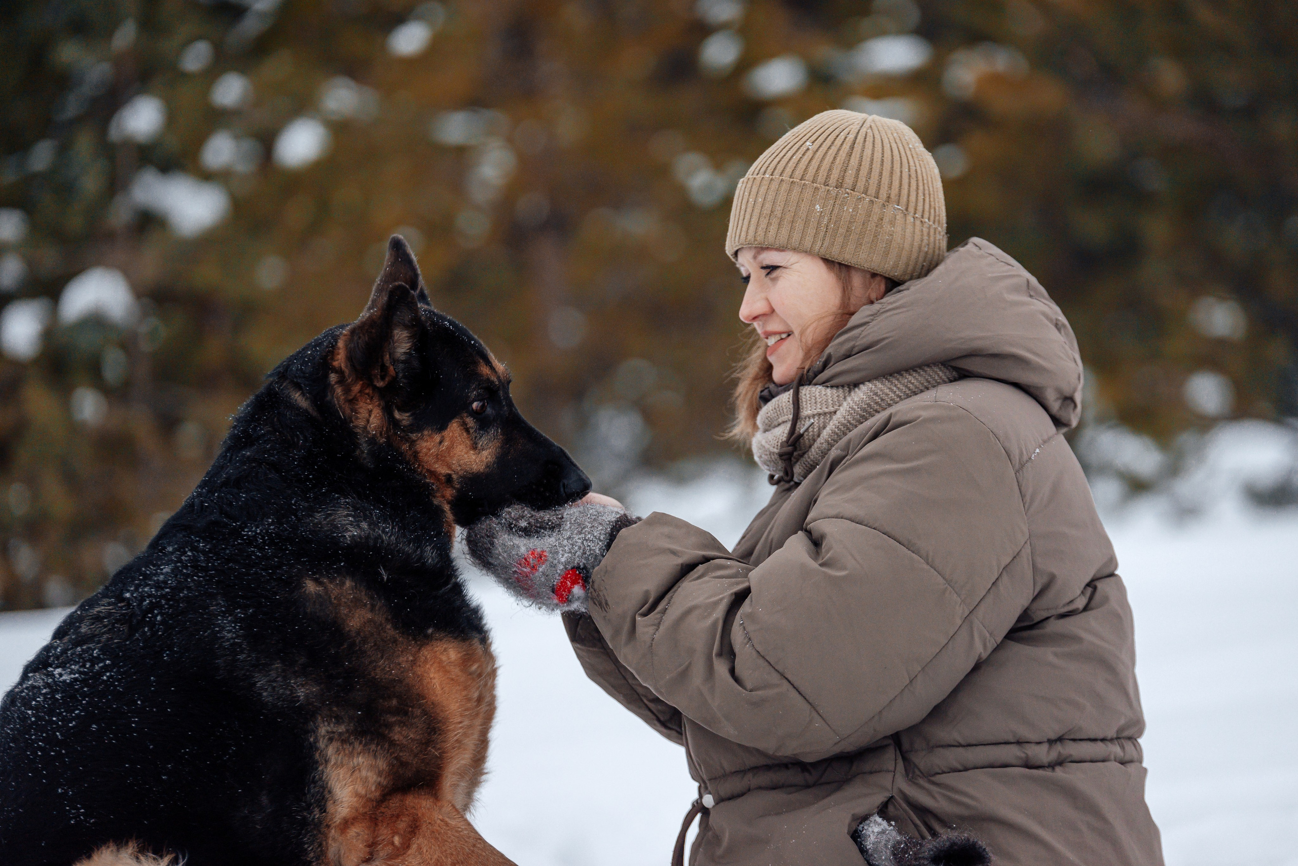 Светлана, Альфа и кошки ✨. Фотограф-анималист Анастасия Парфенова|Екатеринбург