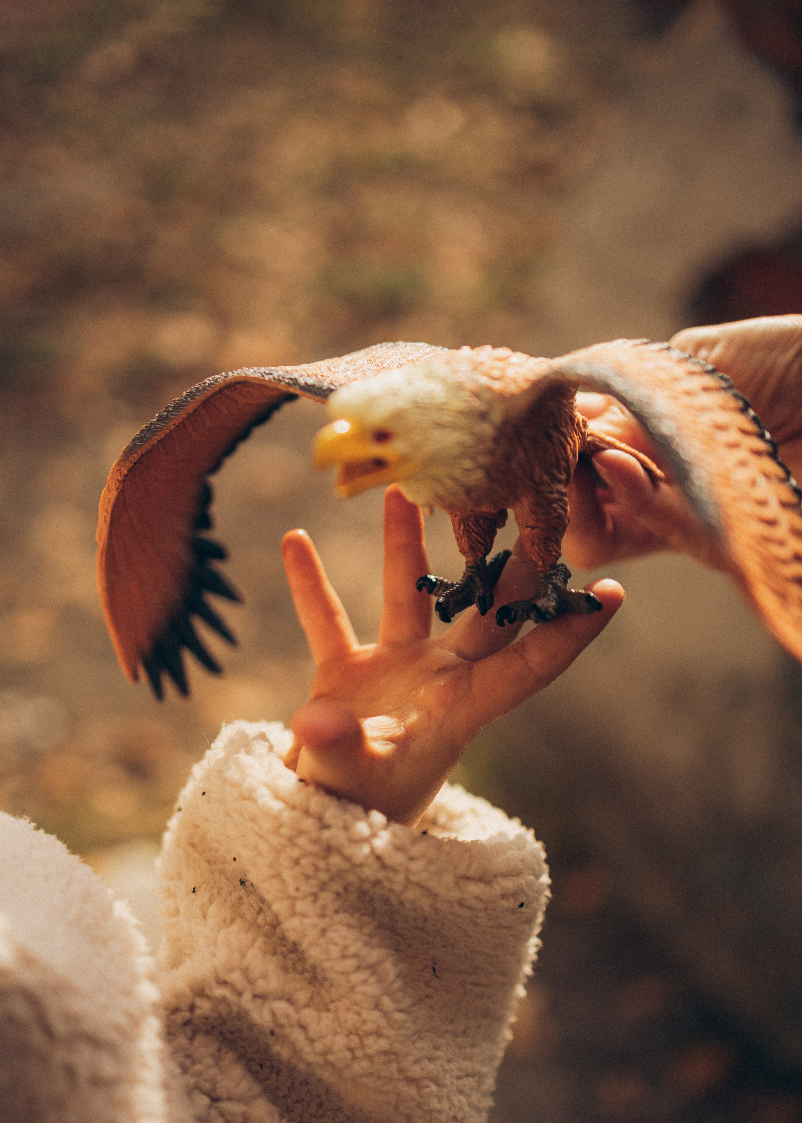 Аня и Тема. Семейный фотограф В Москве Александра Дейкун