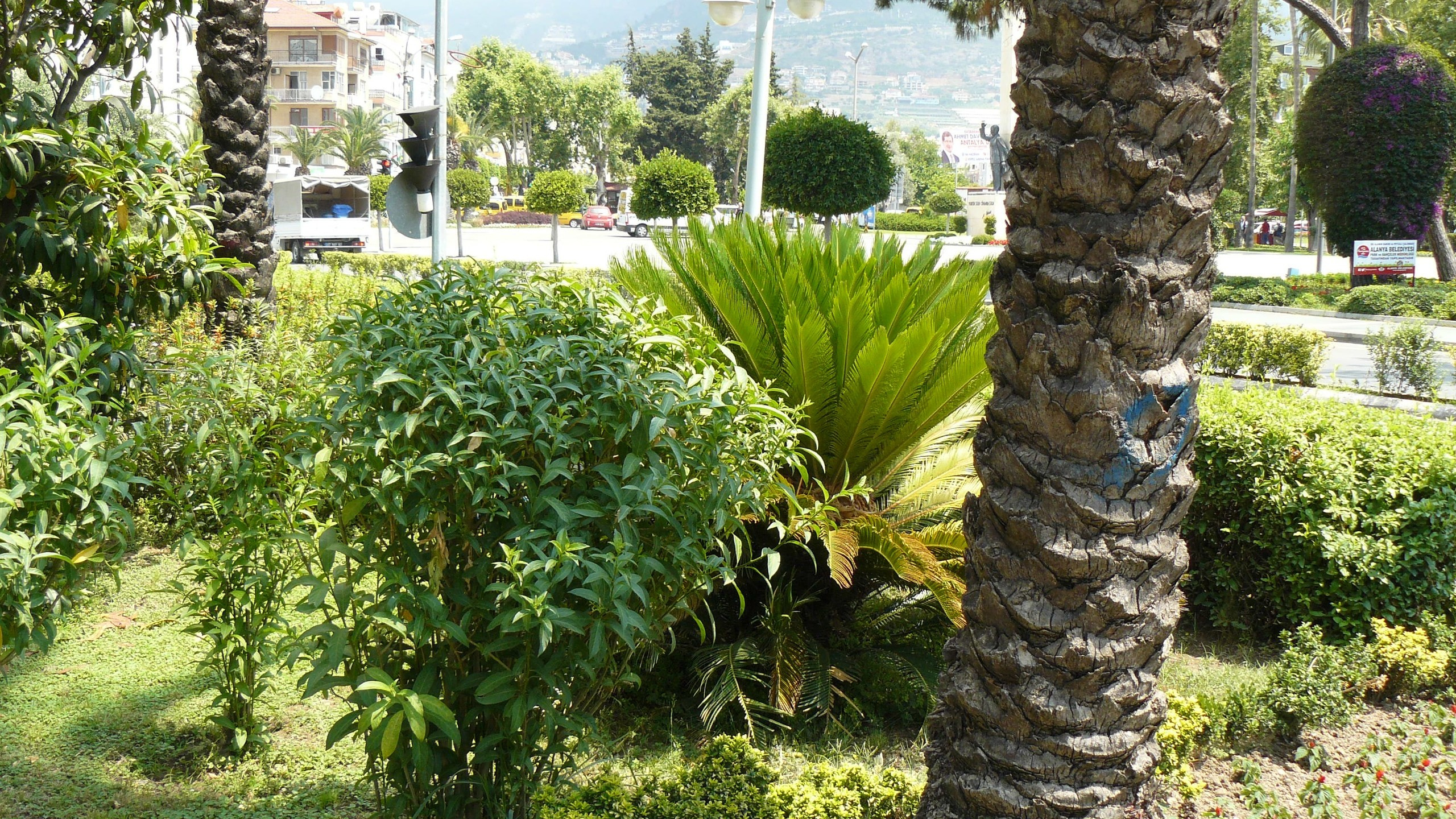 Алания 2015 порт и парк. Фотопрогулки по Миру