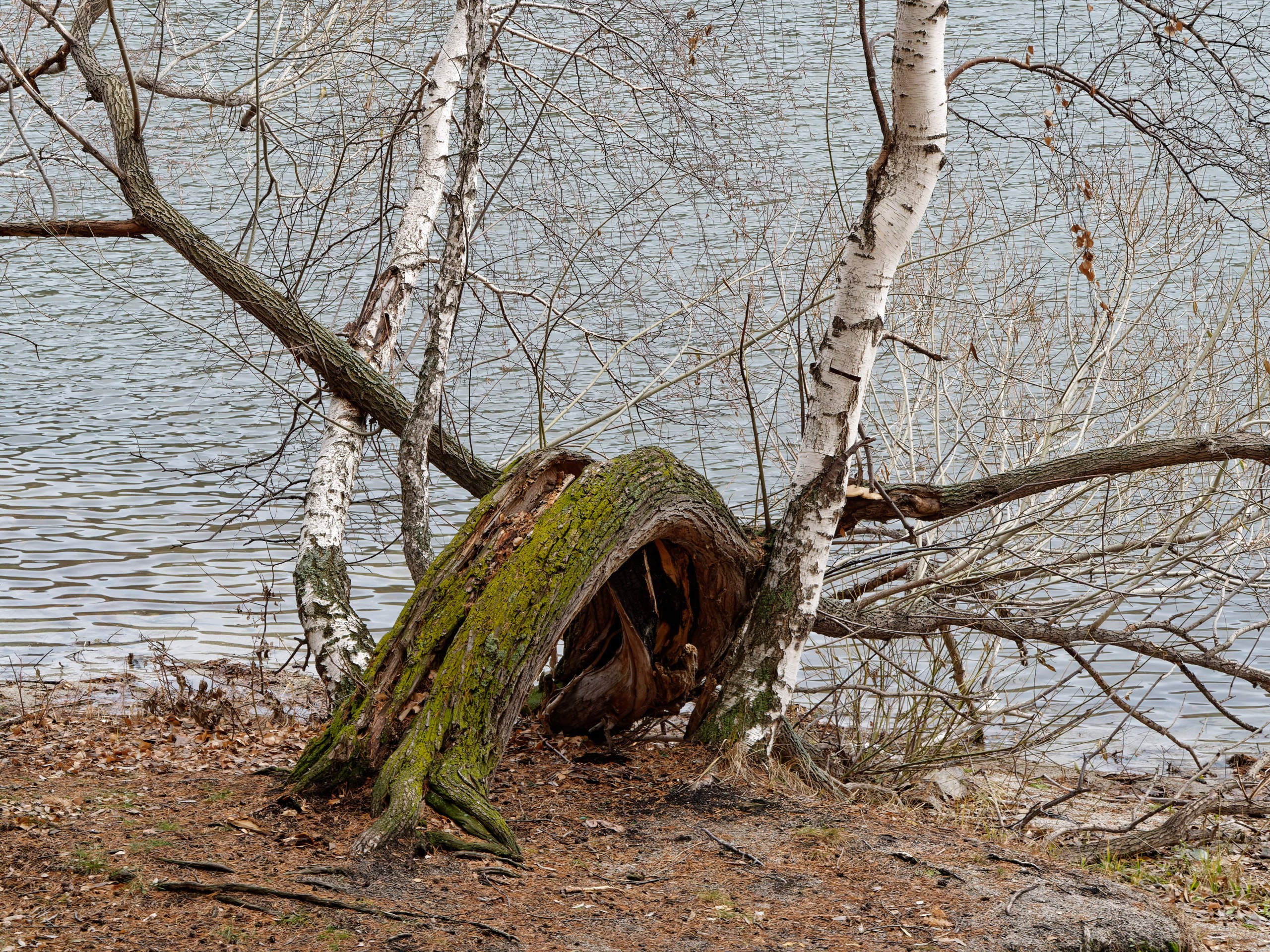 Боровое 2023 (из архива). Избранные фотографии