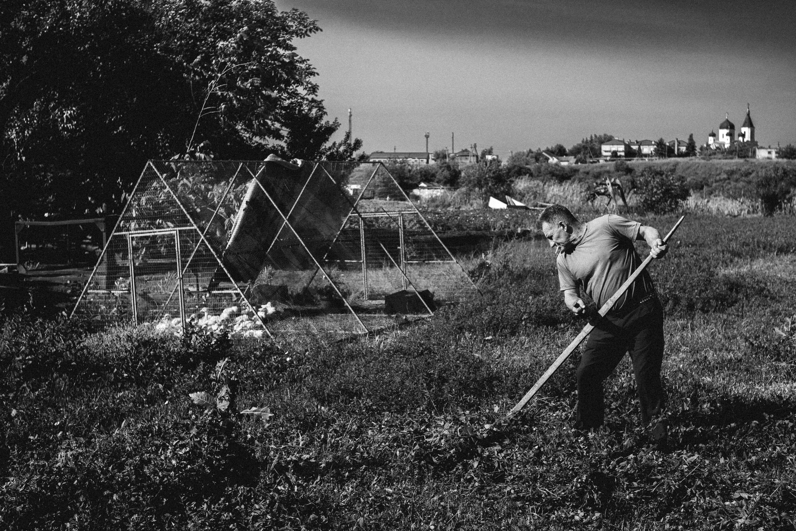 Жизнь. Игорь Гичка. Портрет с любовью