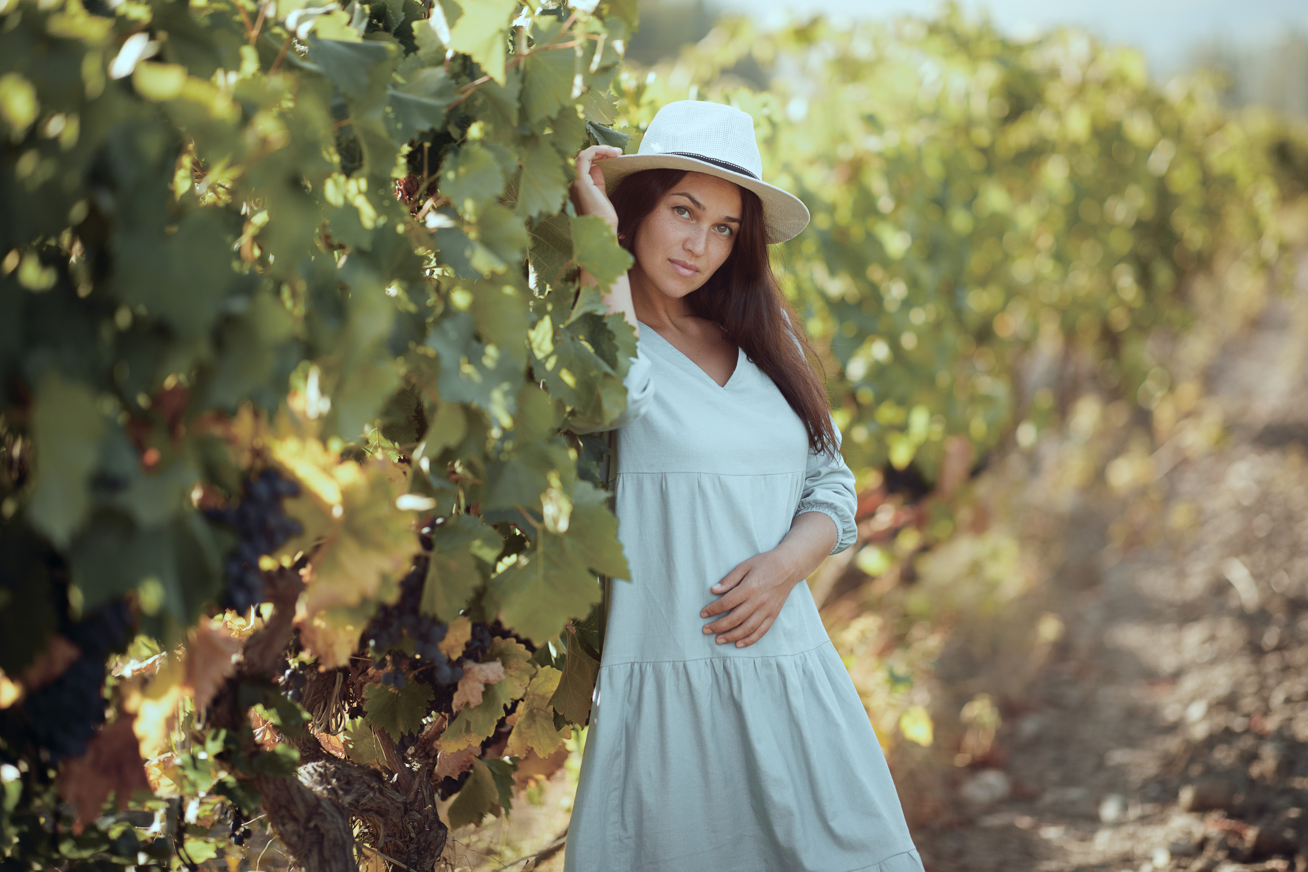 Виноградники. Виктор Кривогуз — российский портретный фотограф