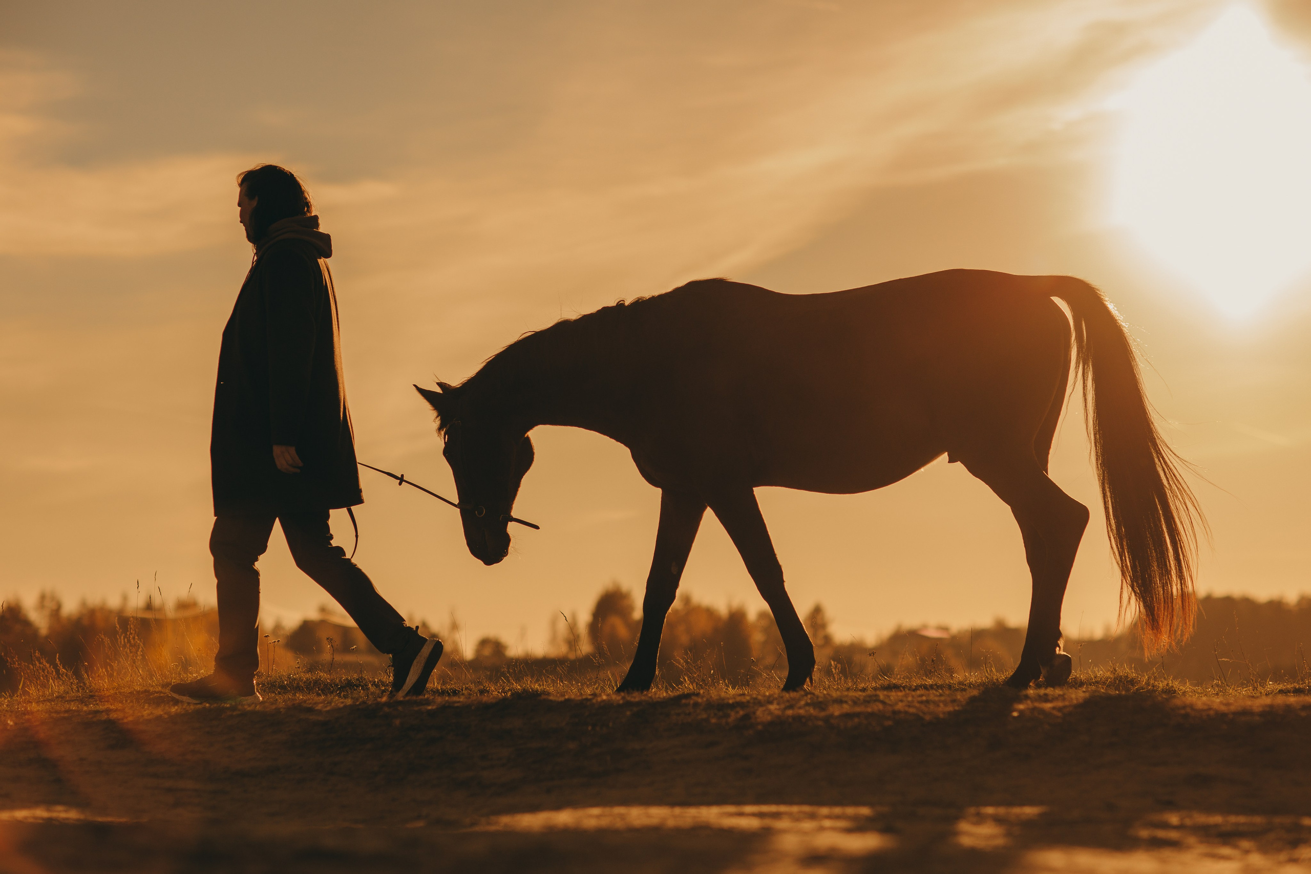 Наши пушистые дети. Главная
