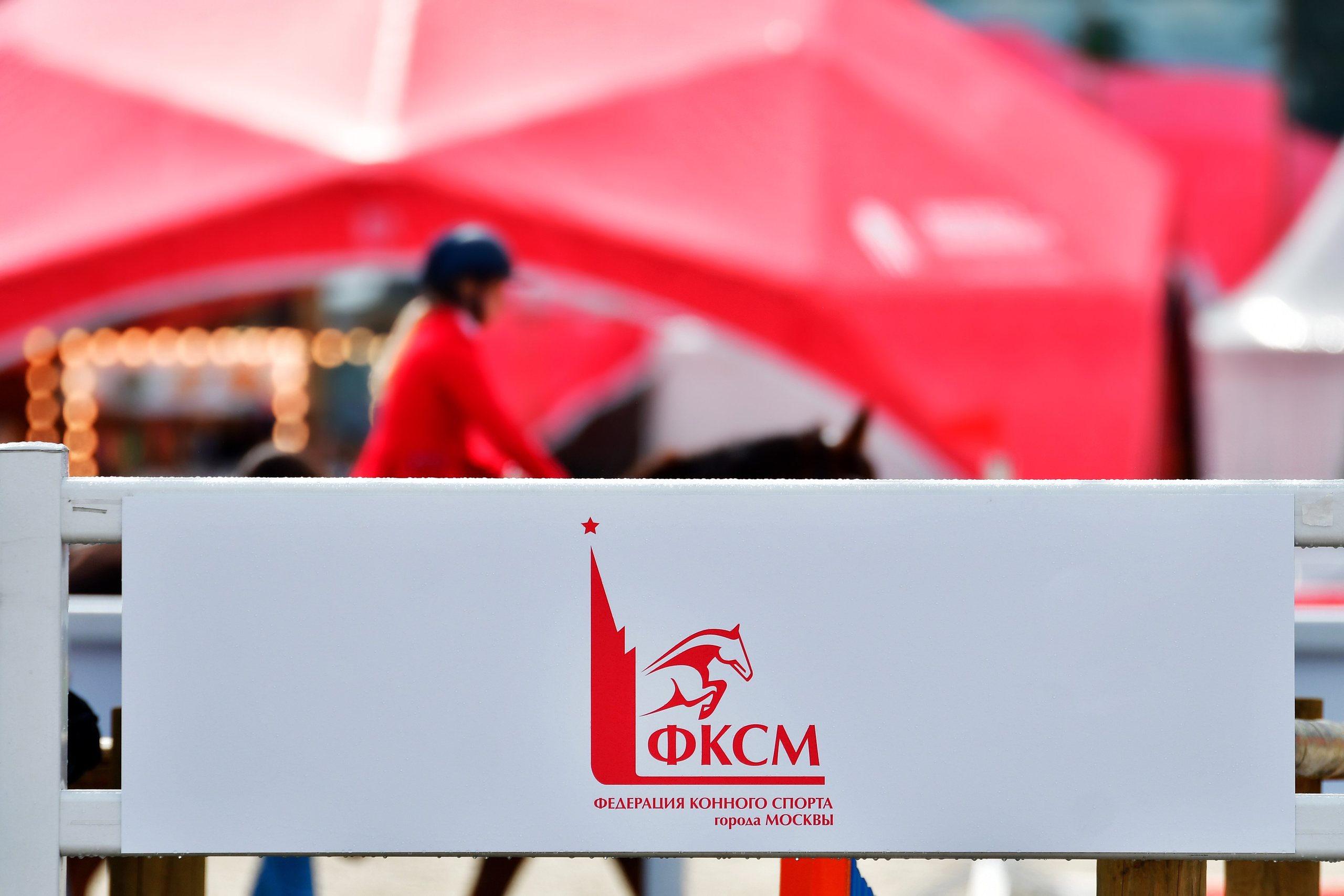 Репортаж Bitriver. Конный фотограф Alesya Safe