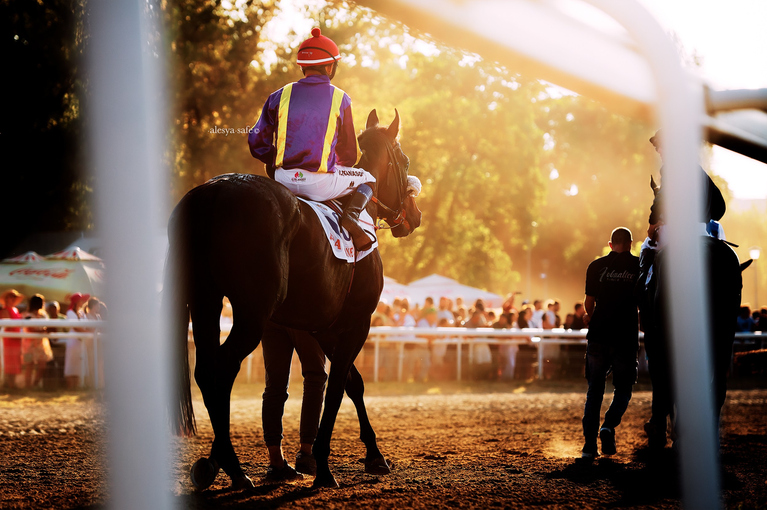 Скачки. Конный фотограф Alesya Safe