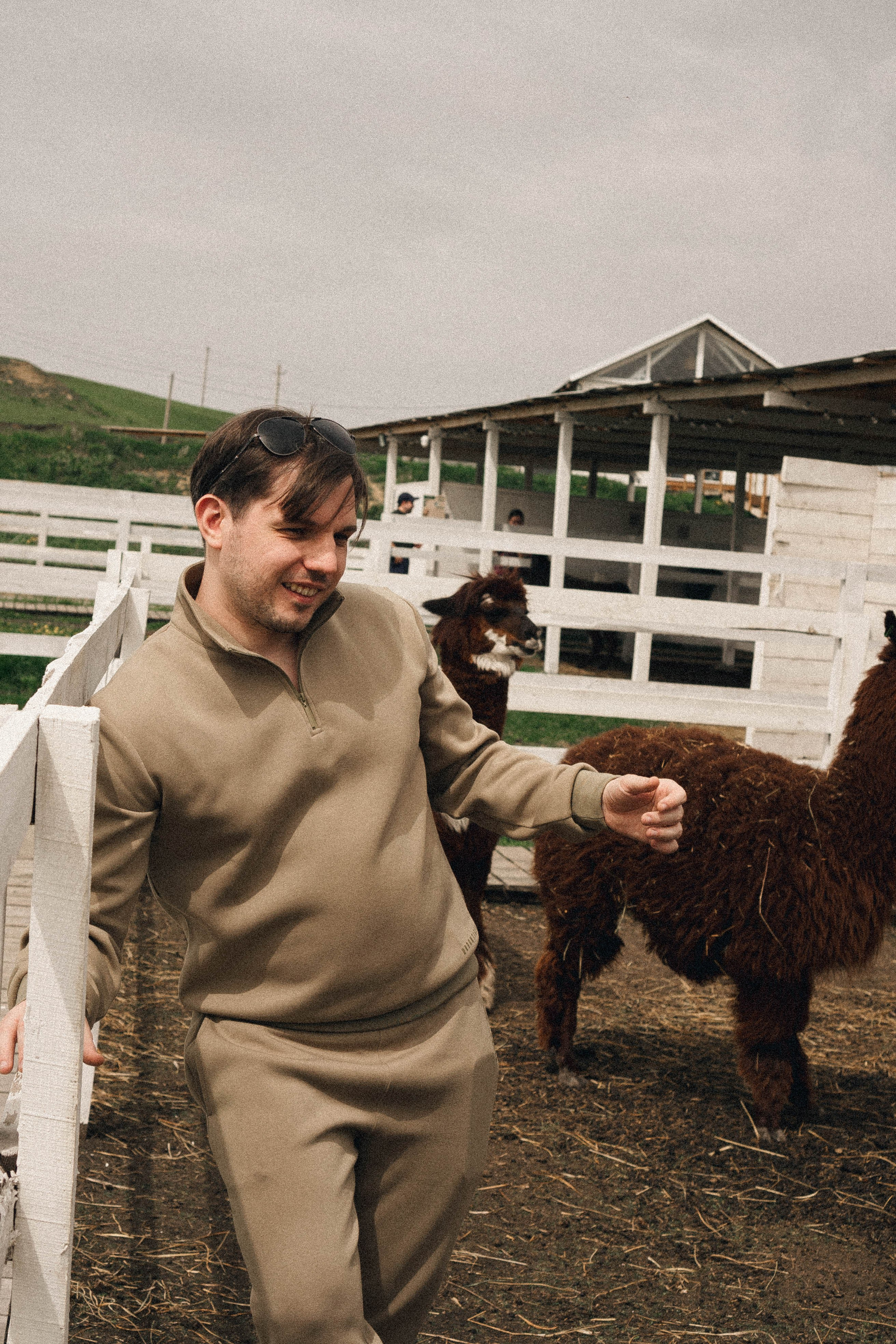 Ферма Альпак. Профессиональный фотограф, Санкт-Петербург — Виктория Богомолова