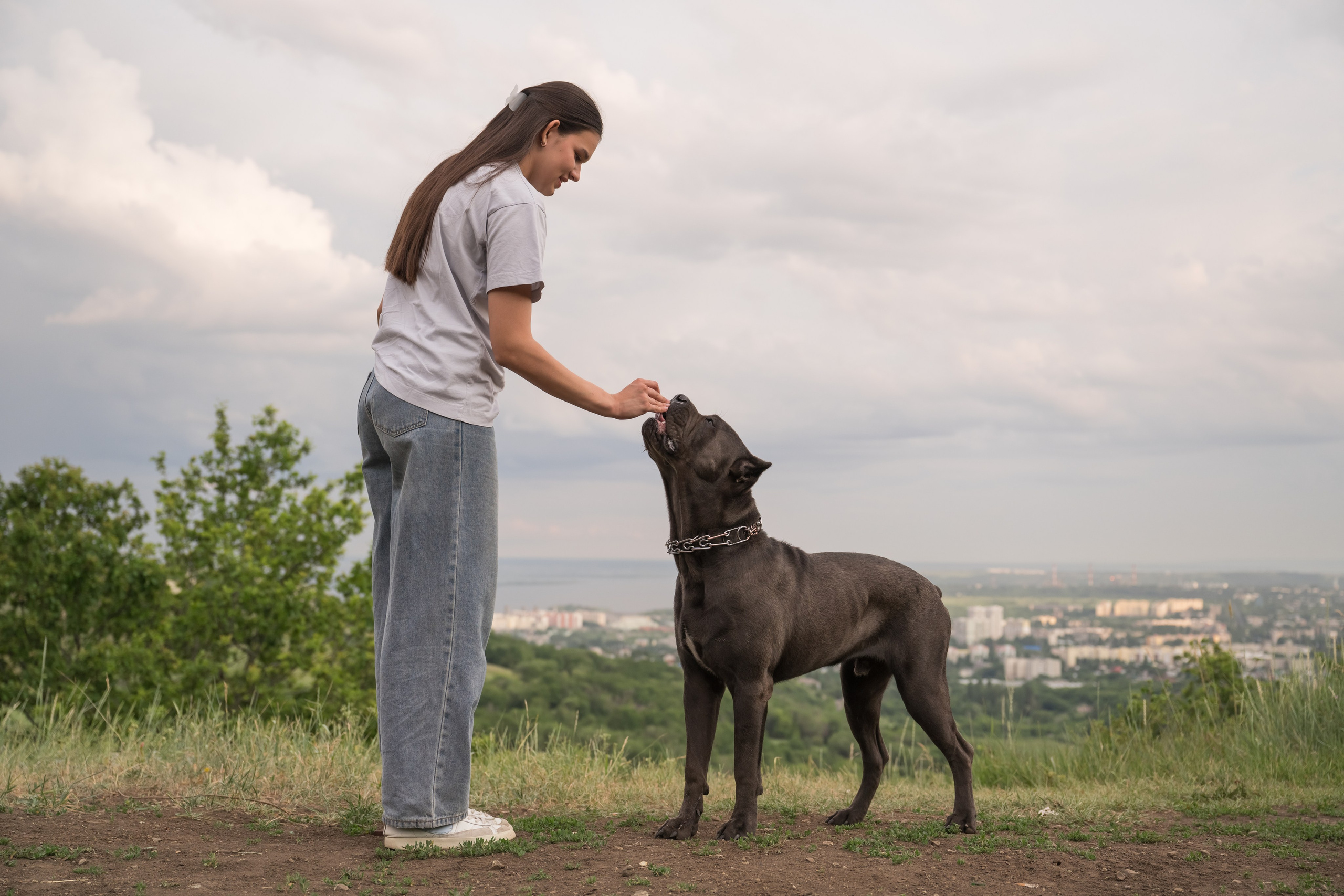 Дина, Яна и Лео. Фотограф Саратов Юлия Петрова