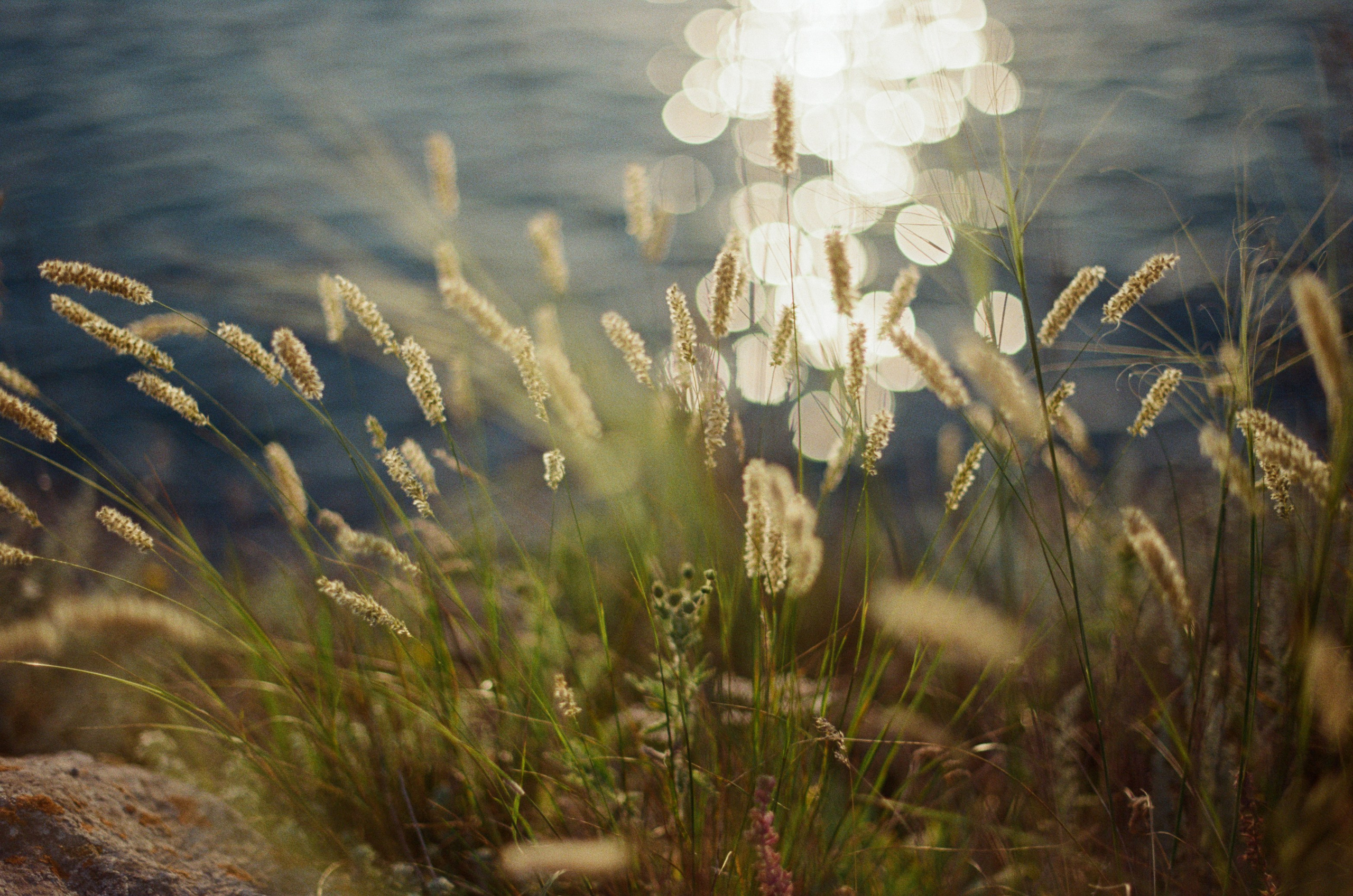 Silent running // ukraine, crimea III. EVER EXPOSED