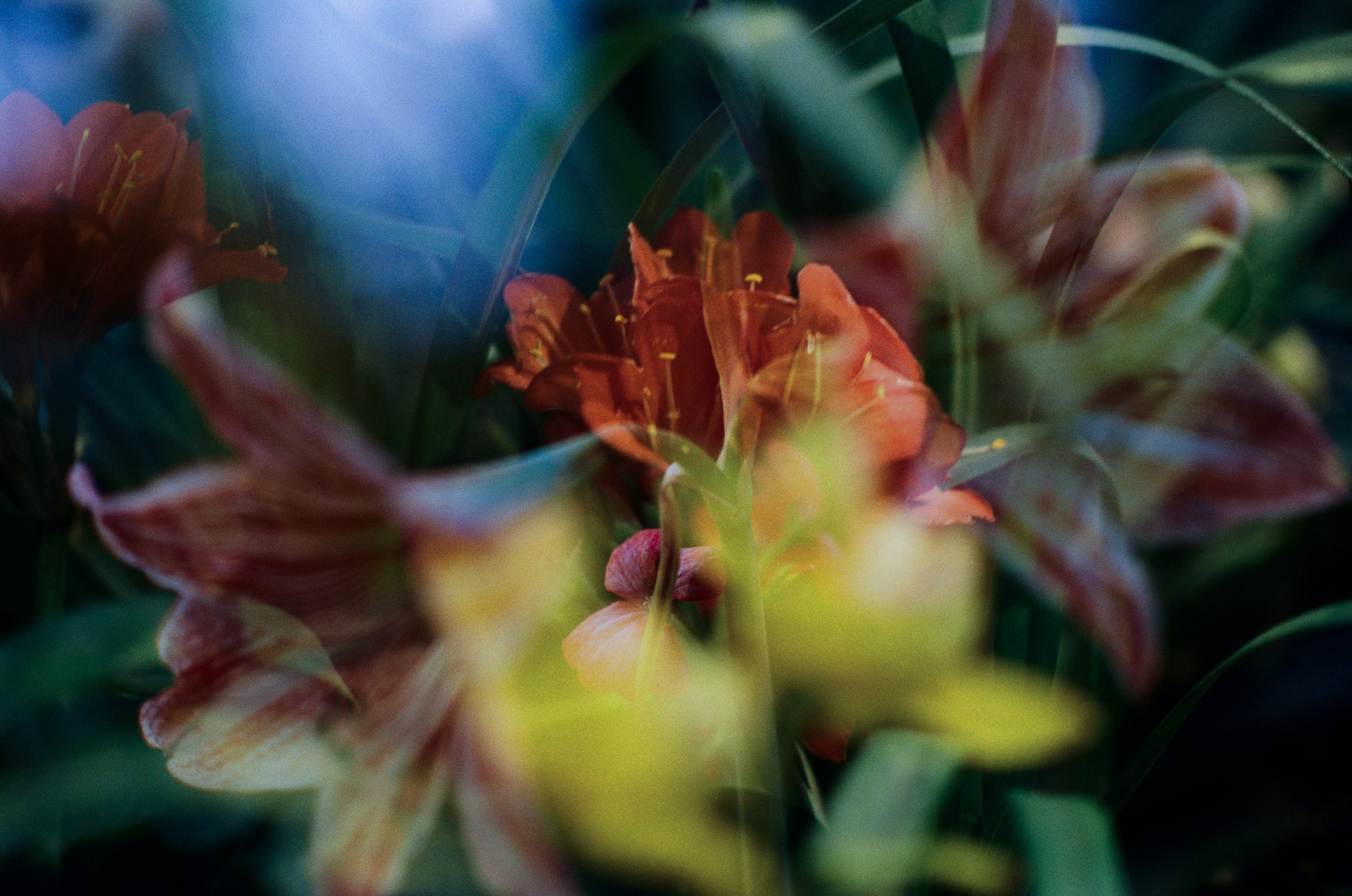 If i get high III. EVER EXPOSED