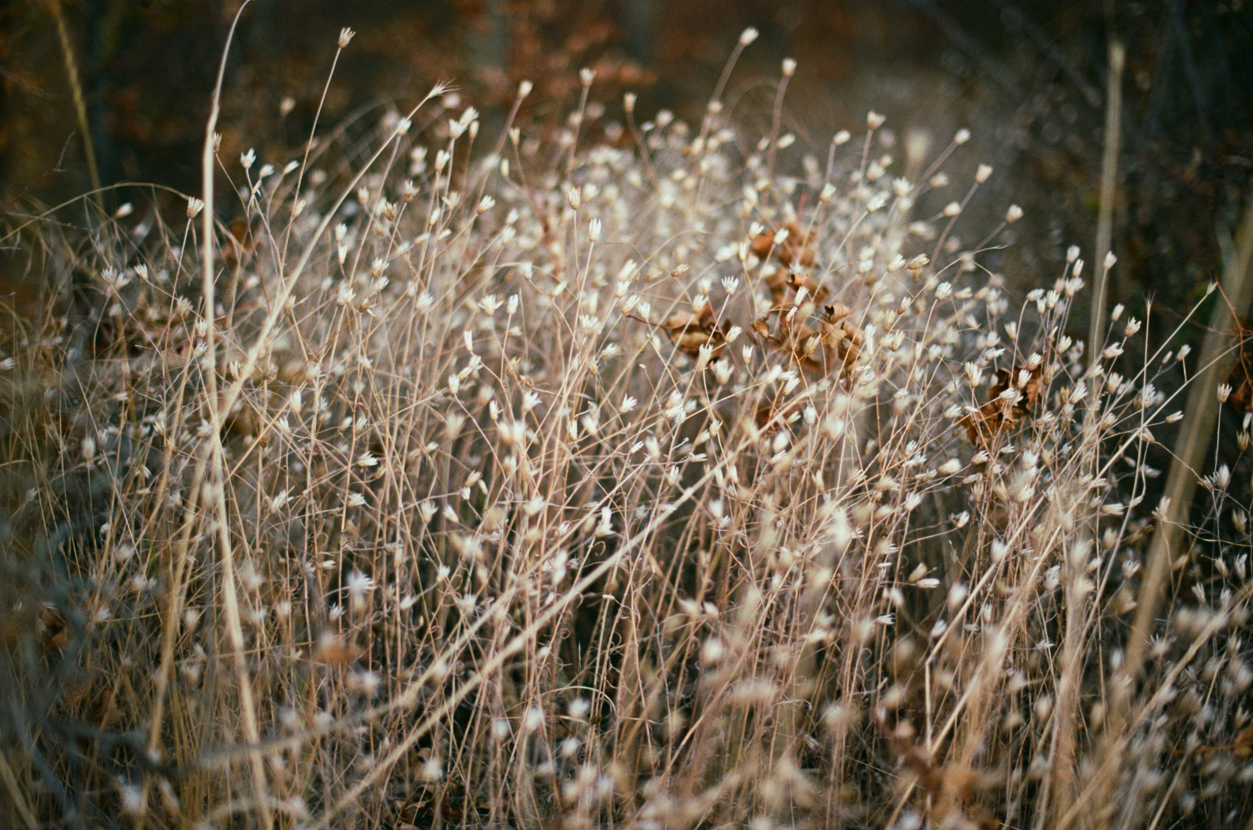 Wherever you will go // ukraine, crimea II. EVER EXPOSED