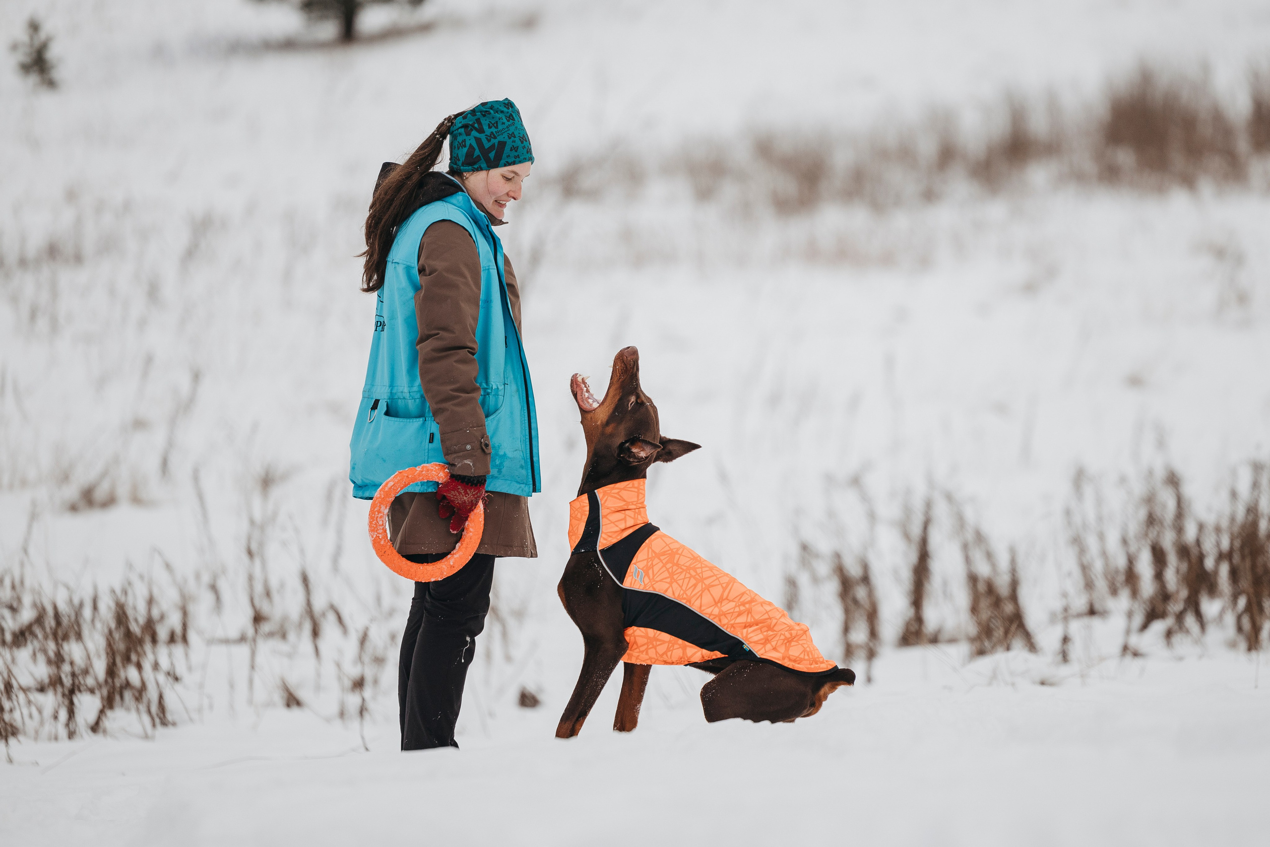 Даша, Омен, Айс и Рицу. Фотограф-анималист Анна Маринич