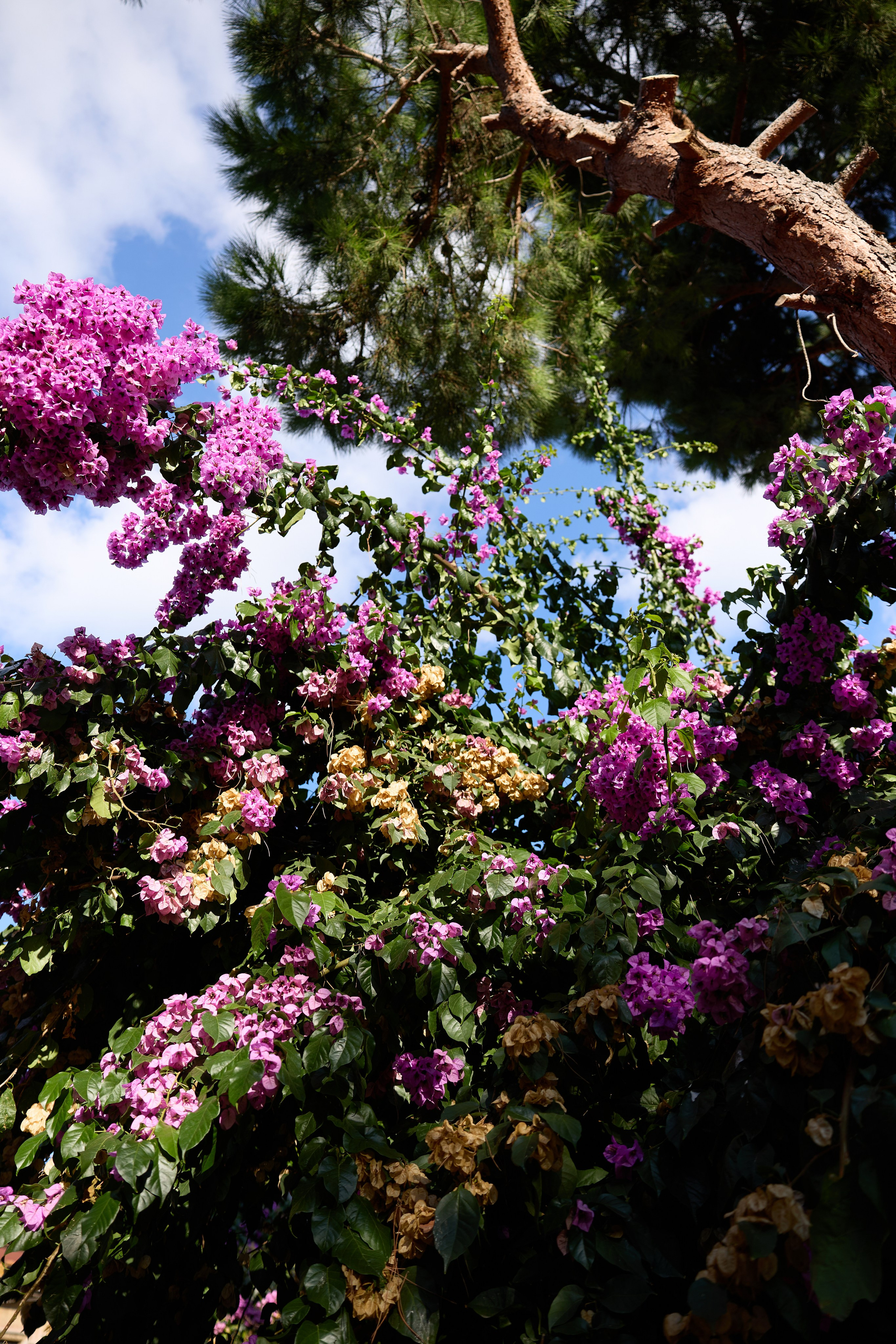 Стамбул 24. Фотограф Москва, Дима Пеллер