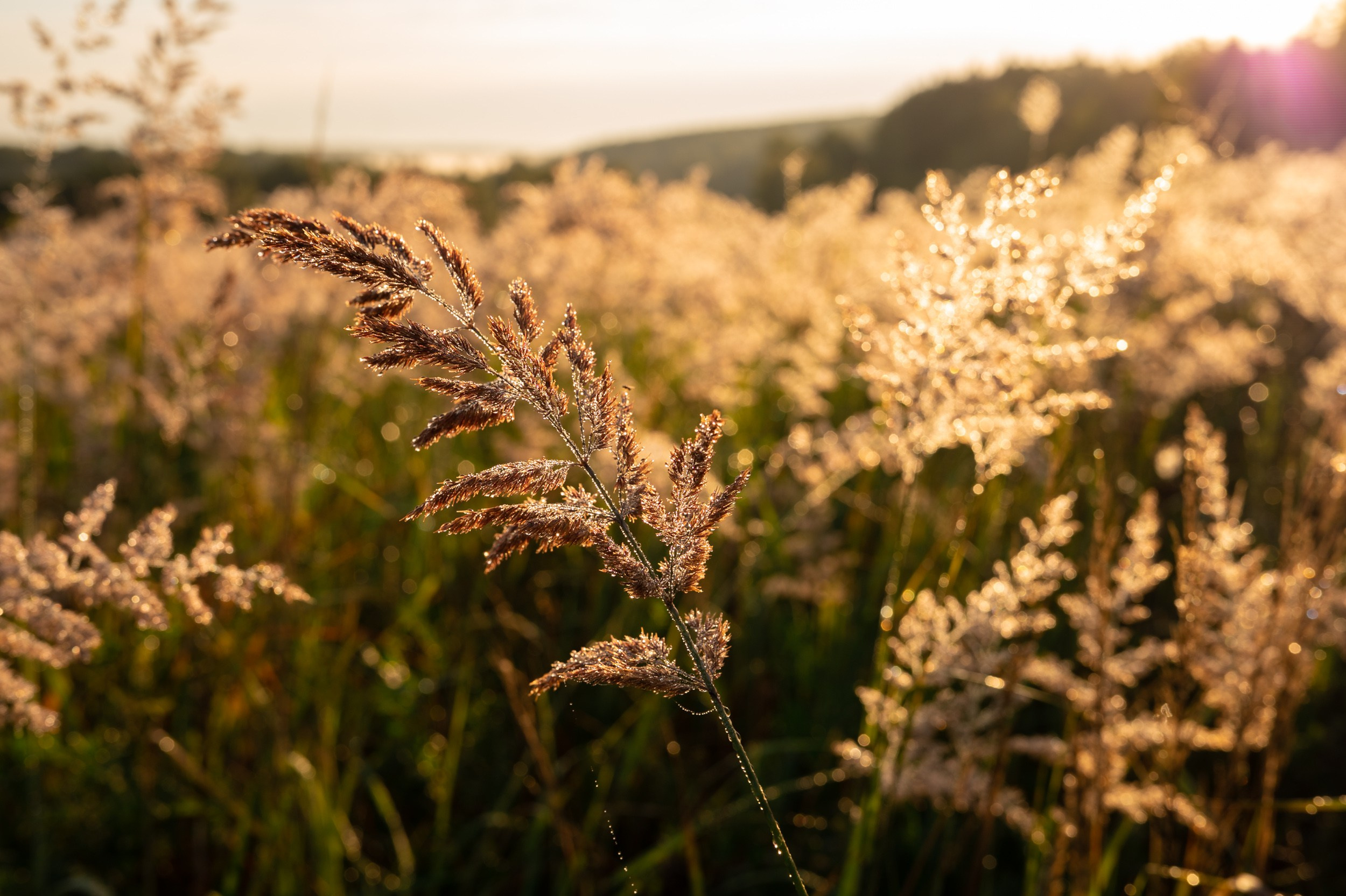Озеро Грумант. Фотограф и видеооператор в Туле | Даниил Рыбак