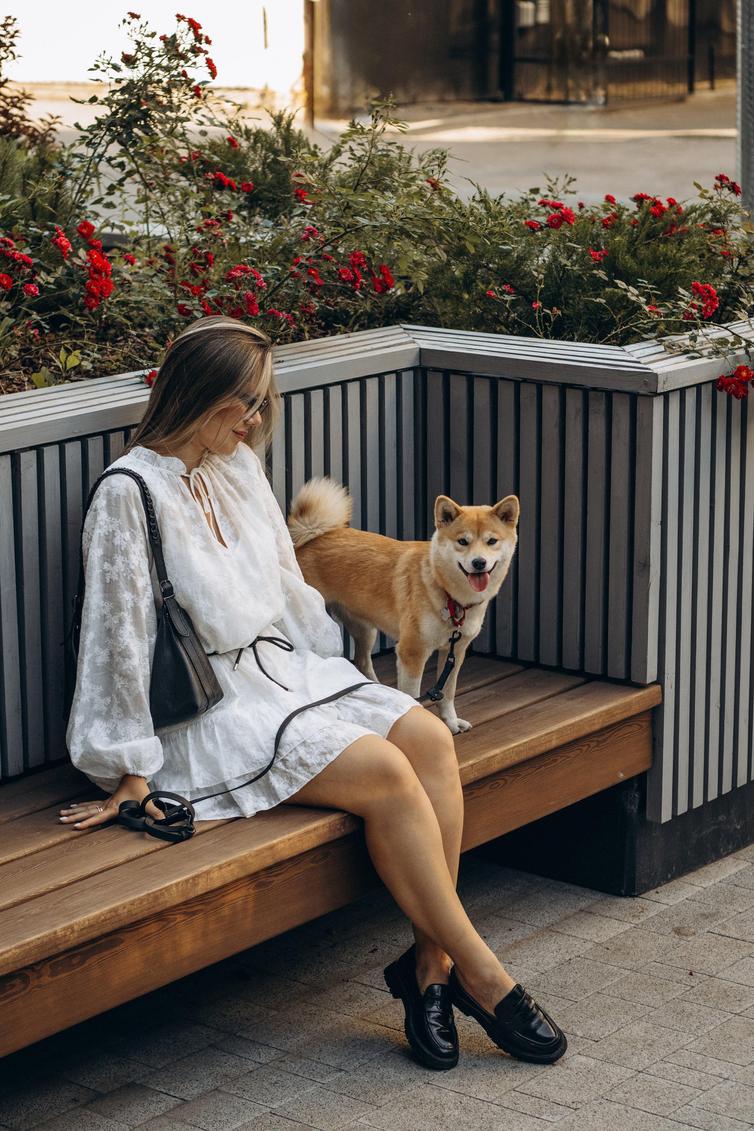 Марина и Мира. Фотограф-анималист в Санкт-Петербурге