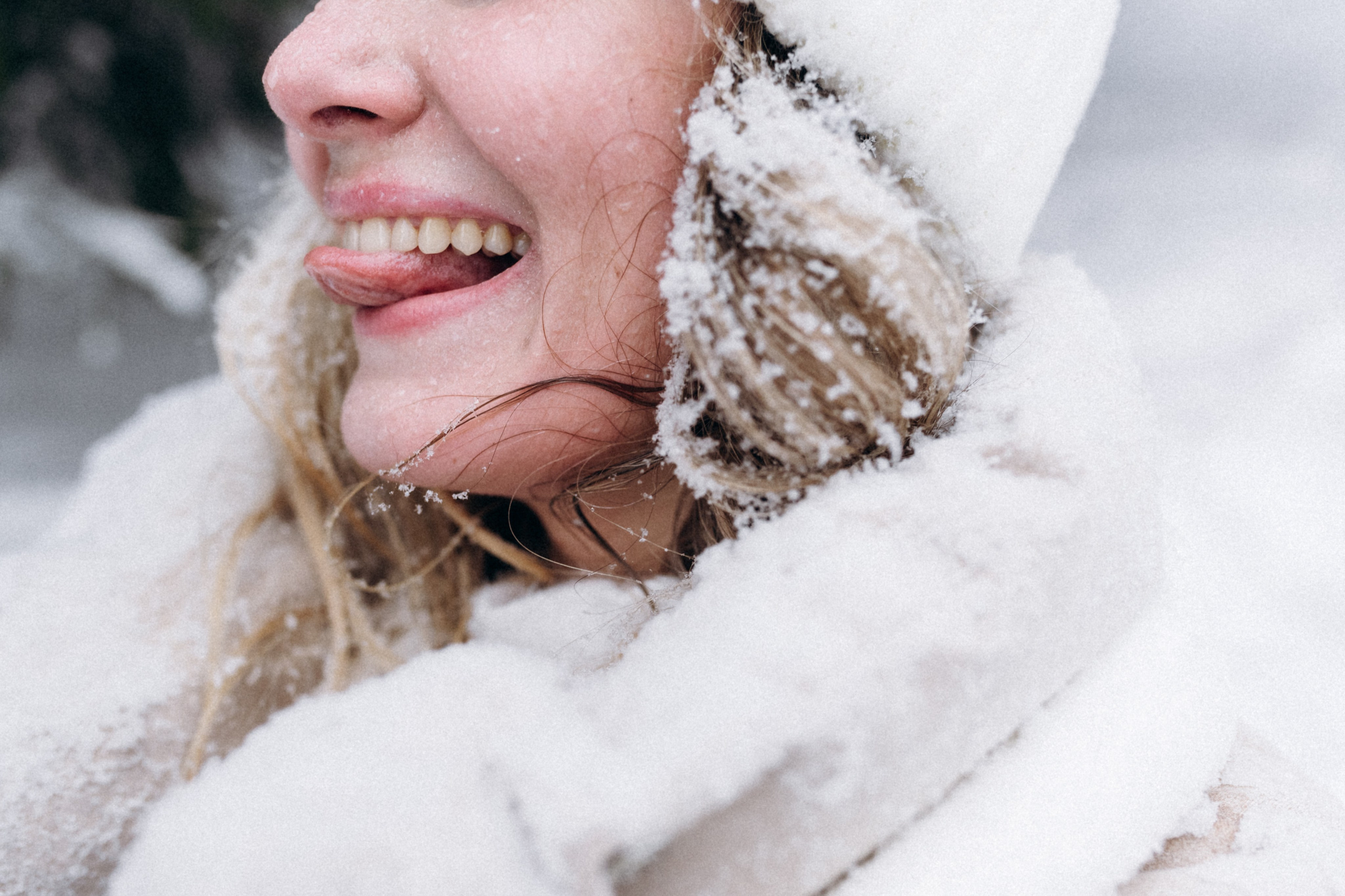 Аня и Милан. Фотограф анималист в Москве Ольга Агушева