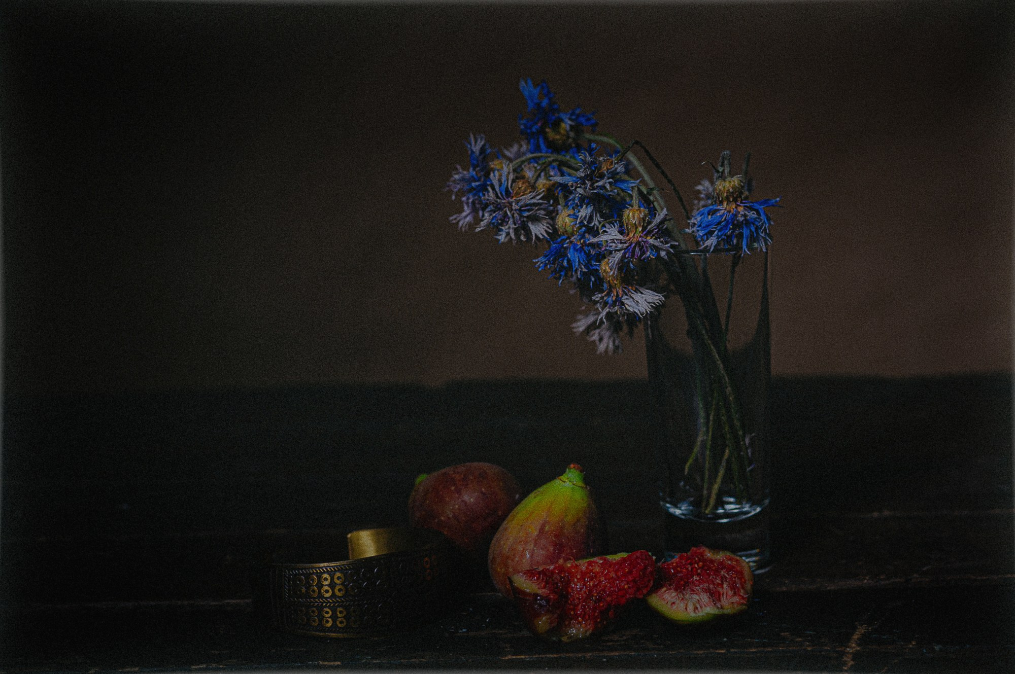 Натюрморт. RawCat. Портретная фотография Екатеринбург