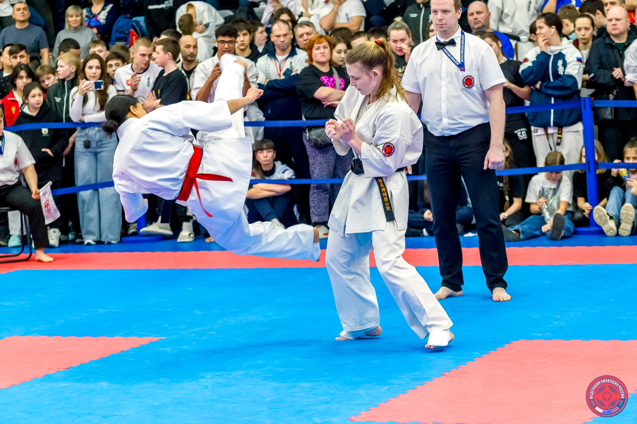 Международный турнир по киокушин «Открытый кубок Seiken». Репортажная съемка в Москве и области. Анималистика