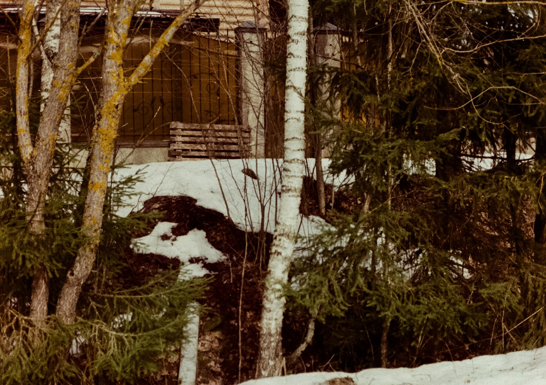 Давыдовское. В конце марта. Фотограф-документалист Мария Осокина