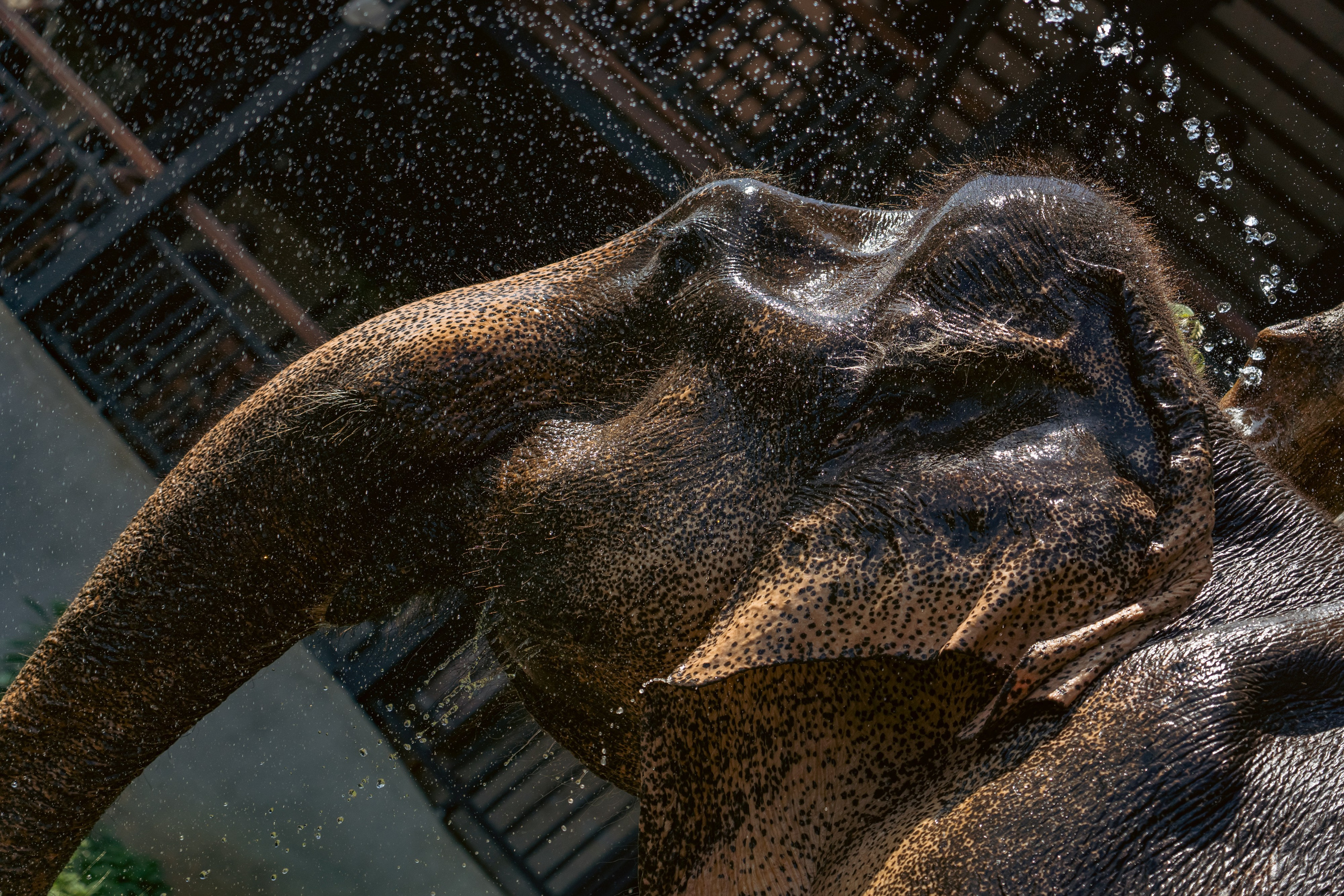 Promo content shooting for Ceylon Forward Tours