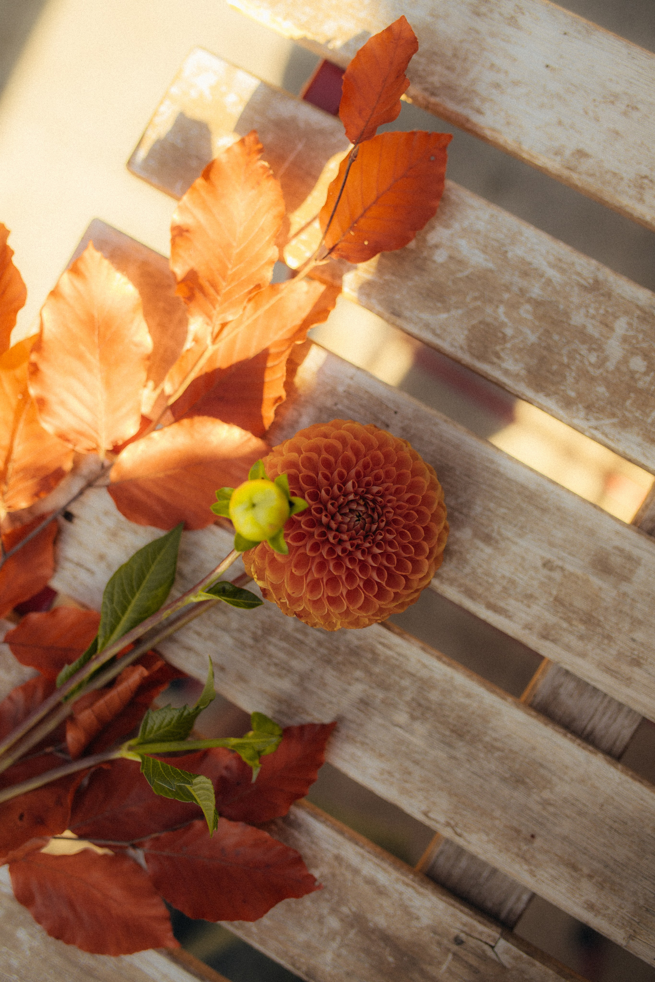 Осенняя прогулка. Свадебный фотограф Казань