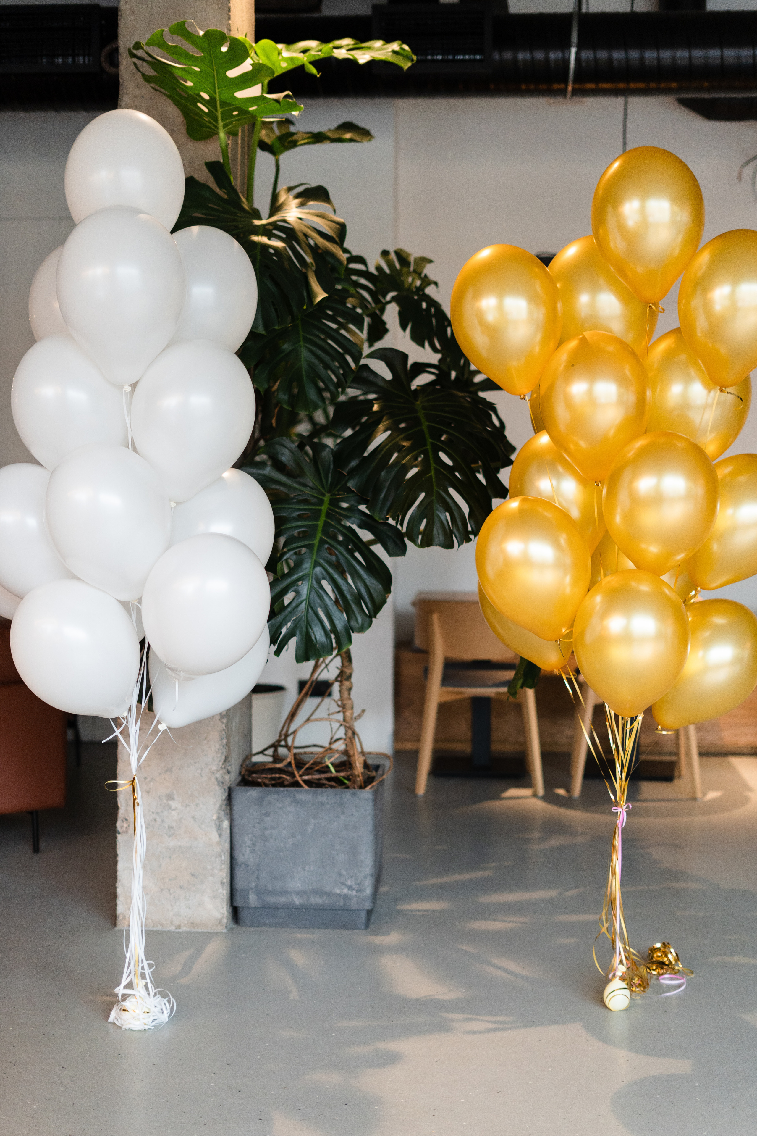 Корпоратив Teach Me English. Портретный фотограф в Москве и Санкт-Петербурге Арина Чех