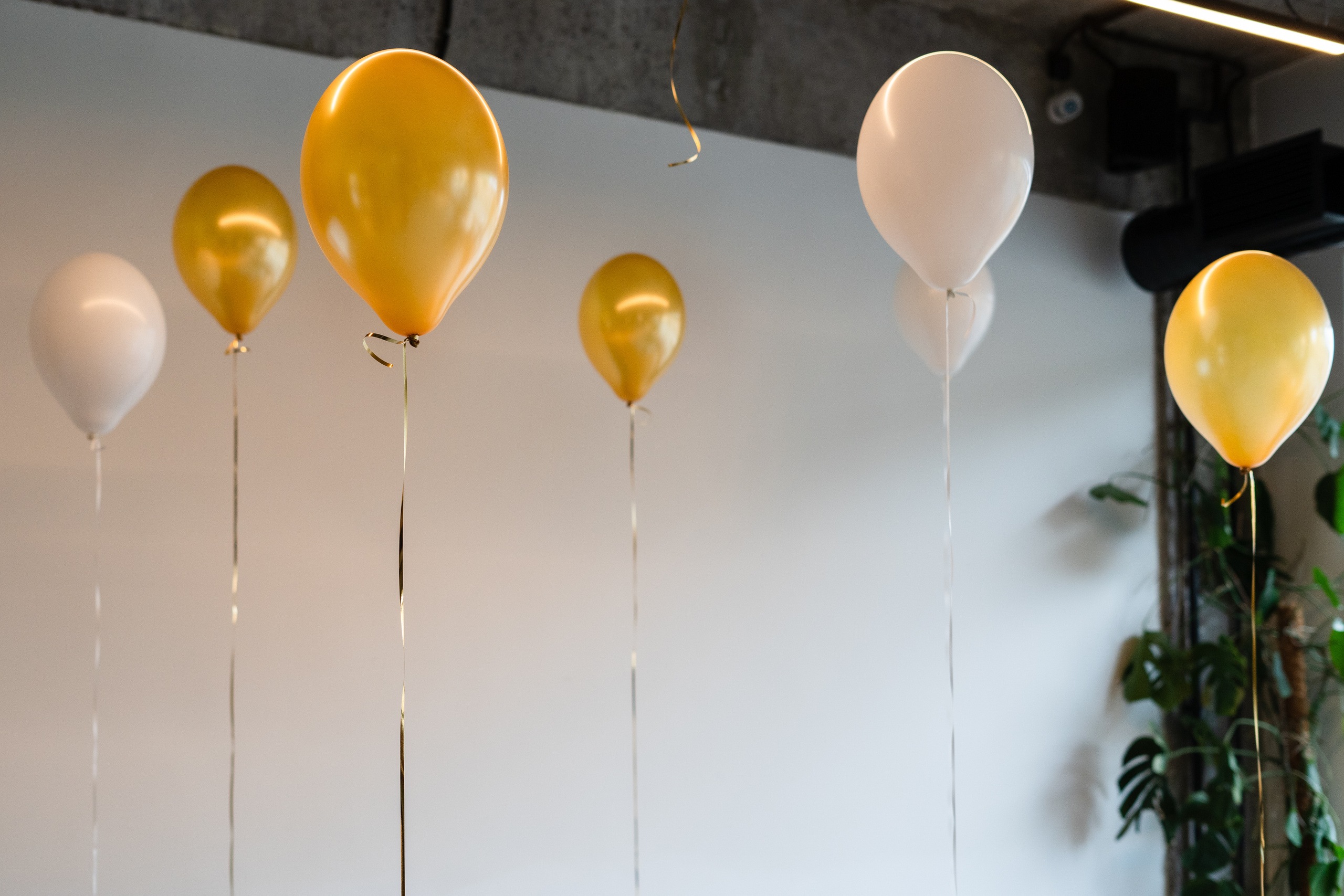 Корпоратив Teach Me English. Портретный фотограф в Москве и Санкт-Петербурге Арина Чех