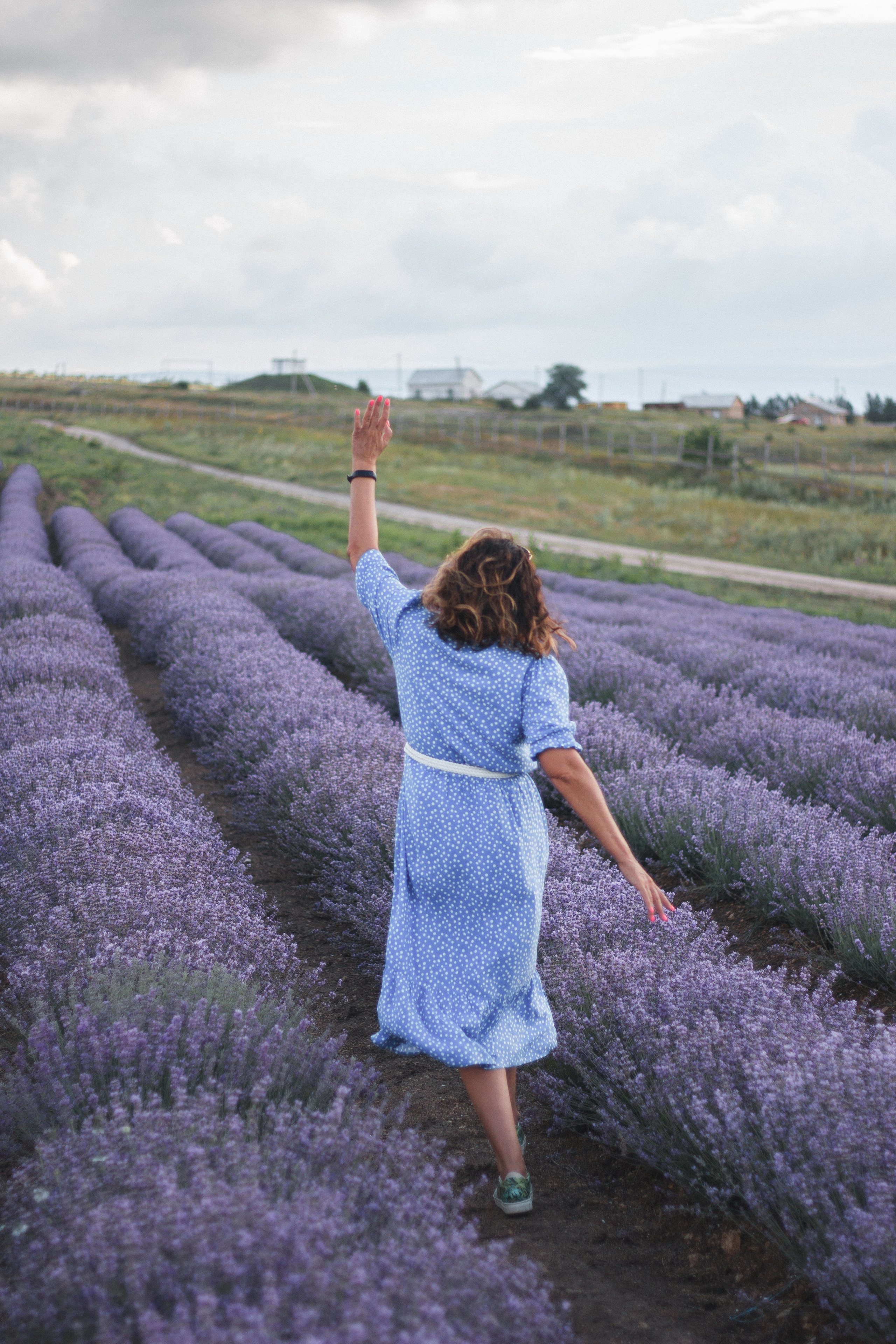 Лавандовое поле | Наталия. Свадебный фотограф в Симферополе (Крым) Валерия Воловидник