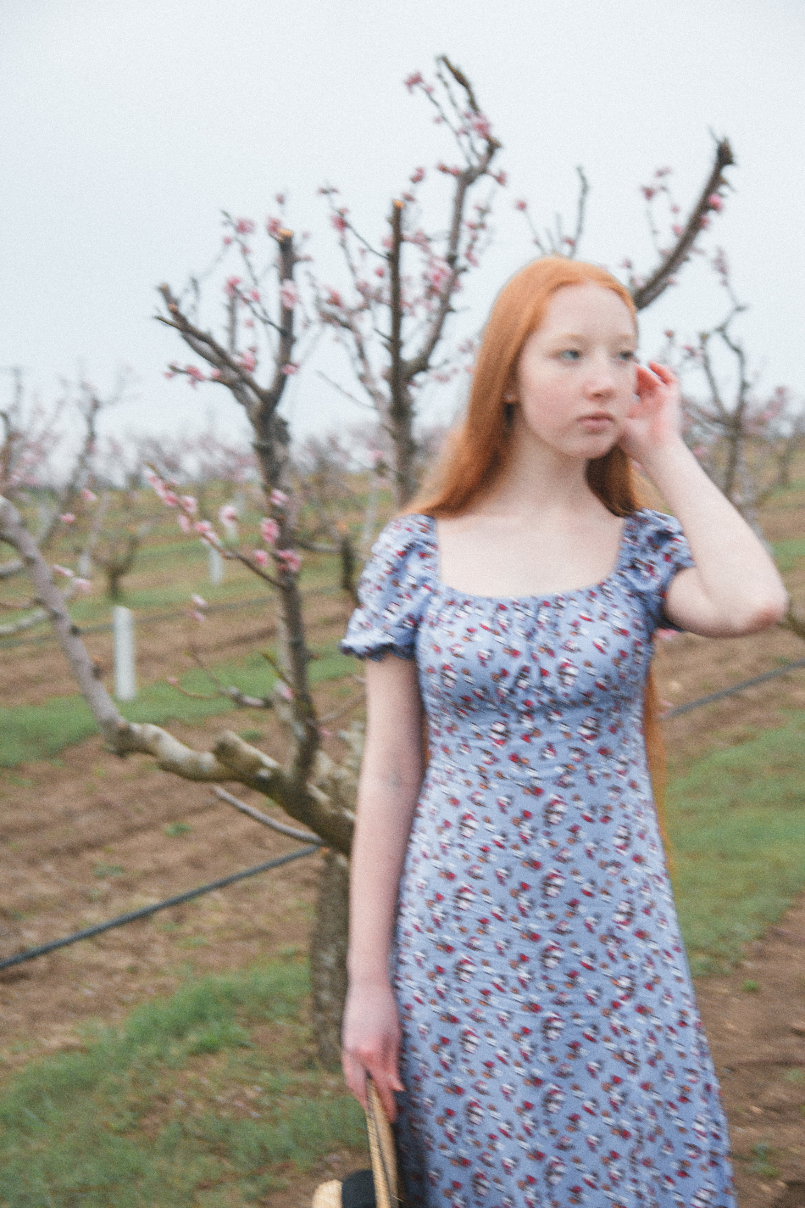 Персиковый сад | Екатерина. Свадебный фотограф в Симферополе (Крым) Валерия Воловидник