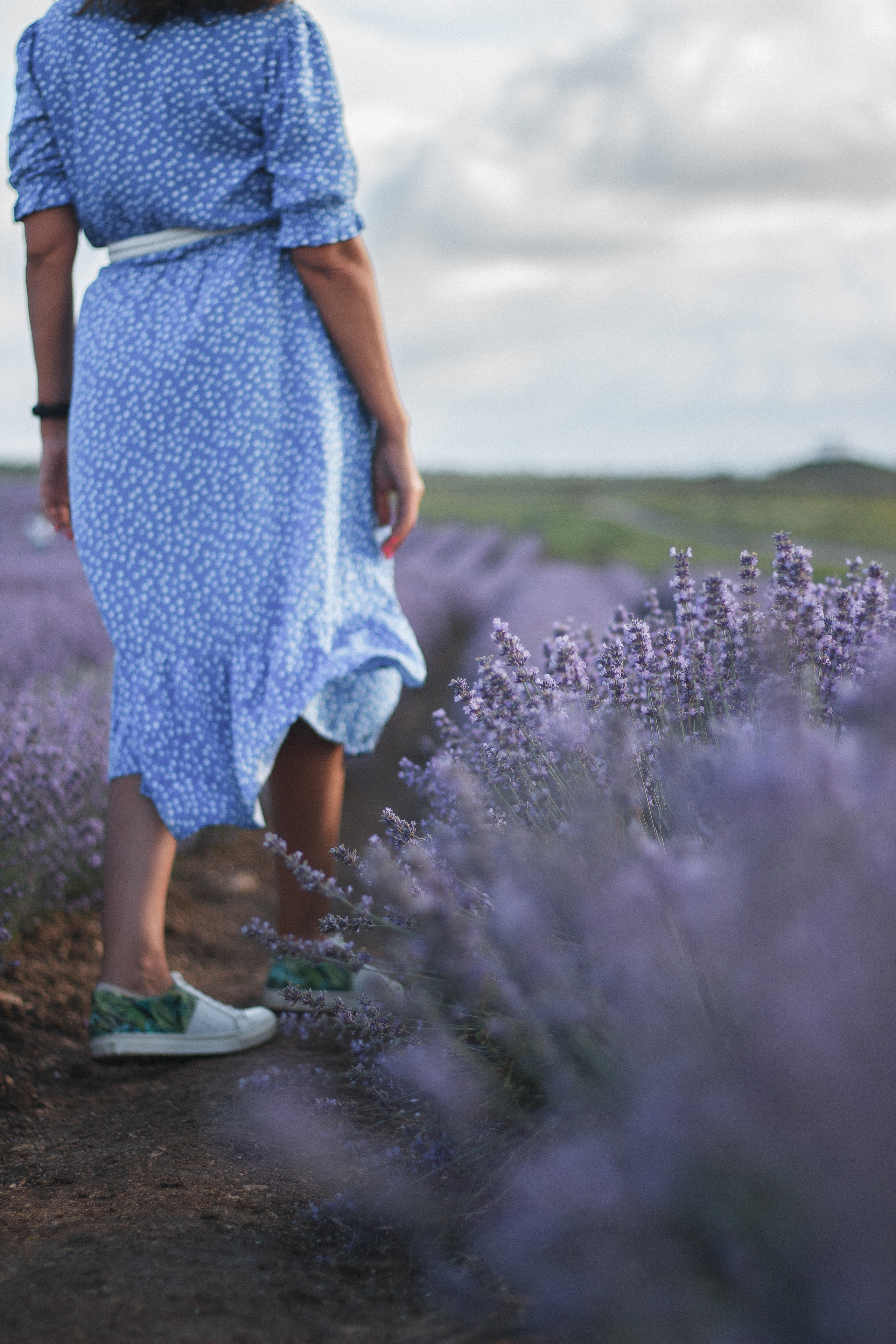 Лавандовое поле | Наталия. Свадебный фотограф в Симферополе (Крым) Валерия Воловидник
