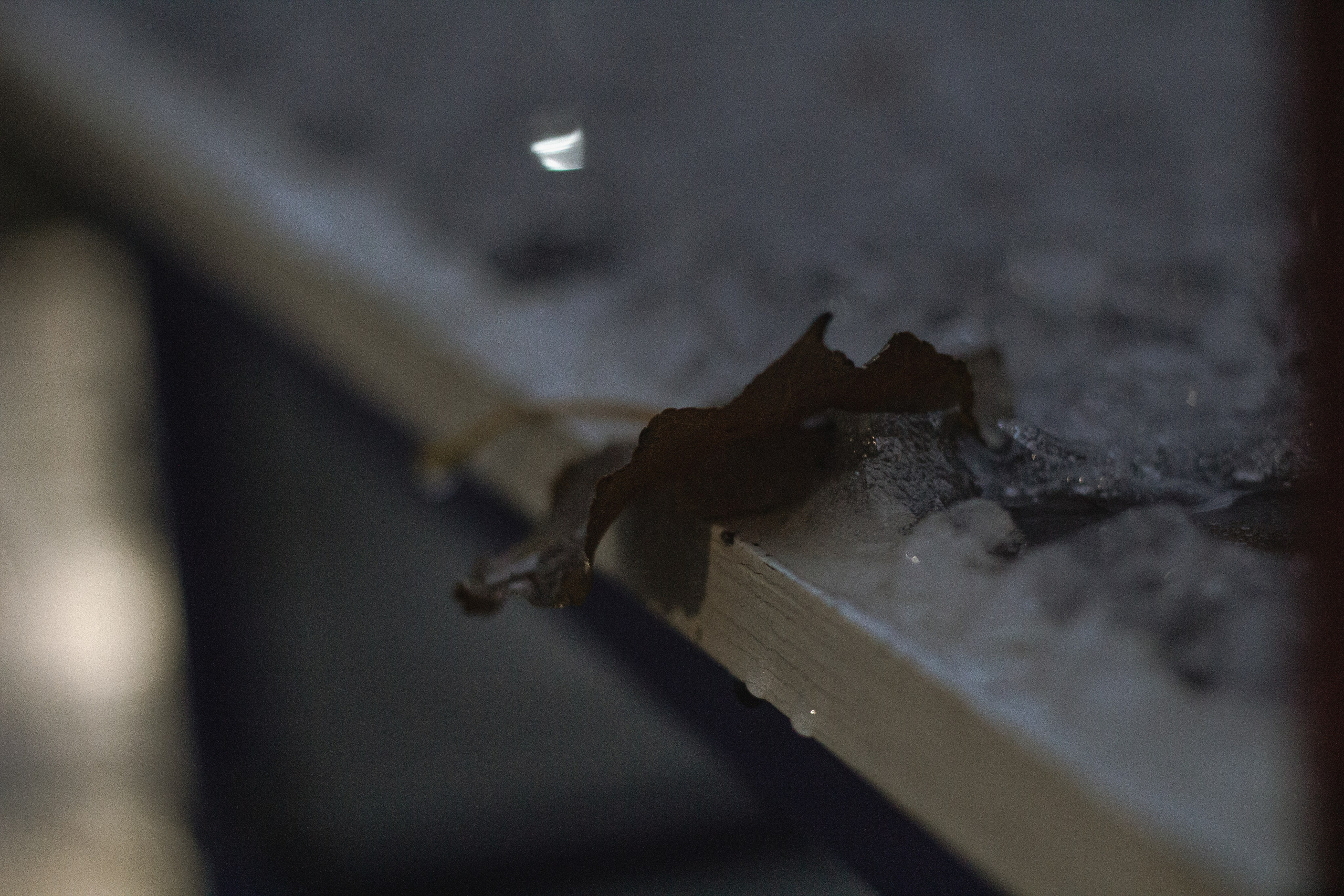 Осень-зима. Фотограф Москва, портрет, стрит, репортаж. Художественная фотосессия