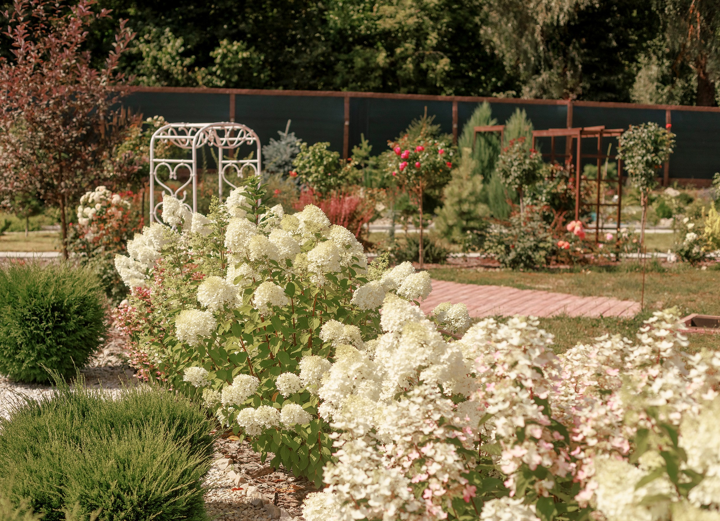 Парк-заповедник Купидон. Семейный фотограф в Димитровграде Елена Патрушева