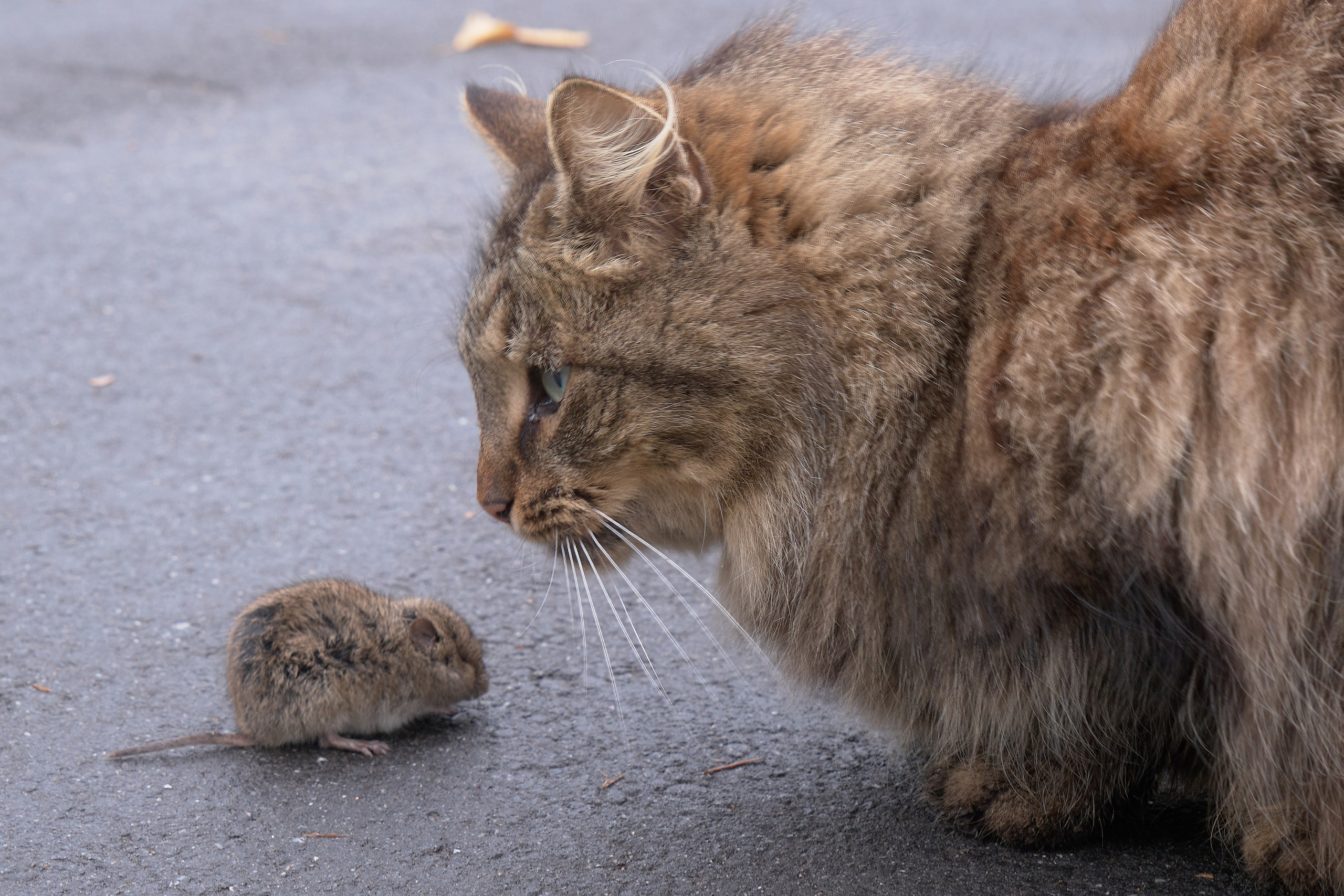 Фотографии Выборга | Филипп Линзин. Репортажный и портретный фотограф в Санкт-Петербурге Филипп Линзин