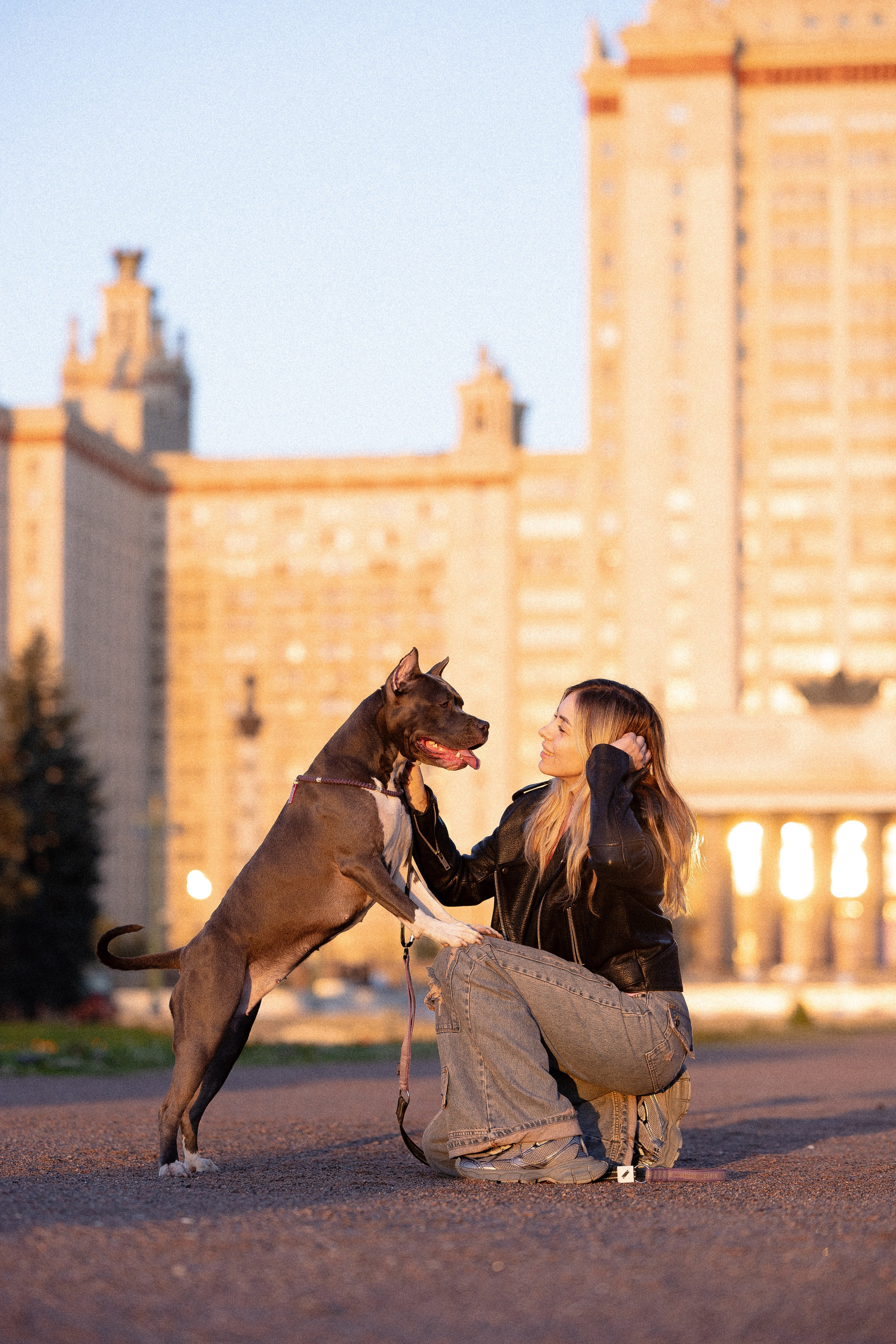 Катя, Леша, Лея и Трой. Фотограф и видеограф анималист Аганина Дарья
