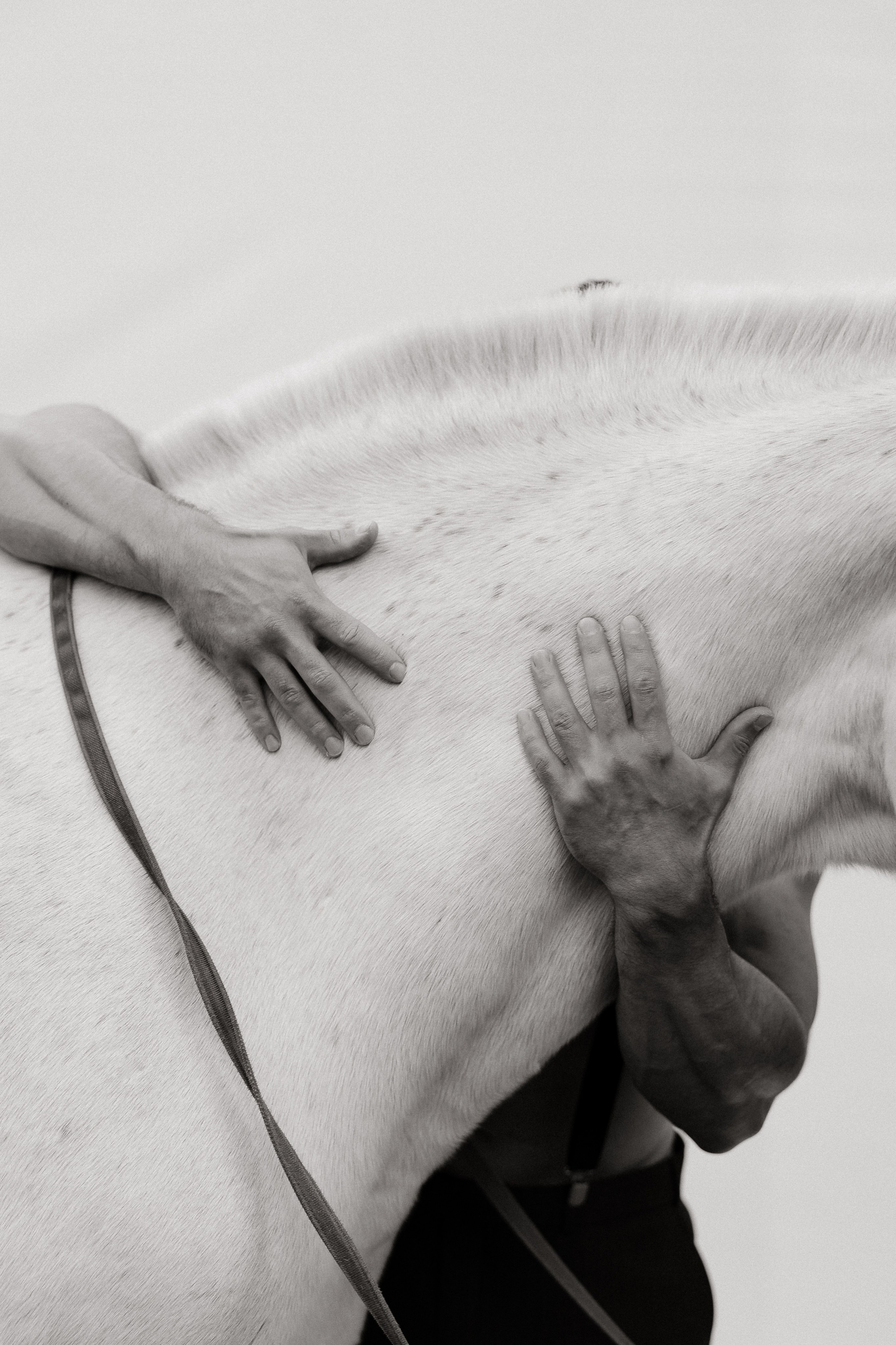 Александр и Кристина. Свадебный | Семейный фотограф