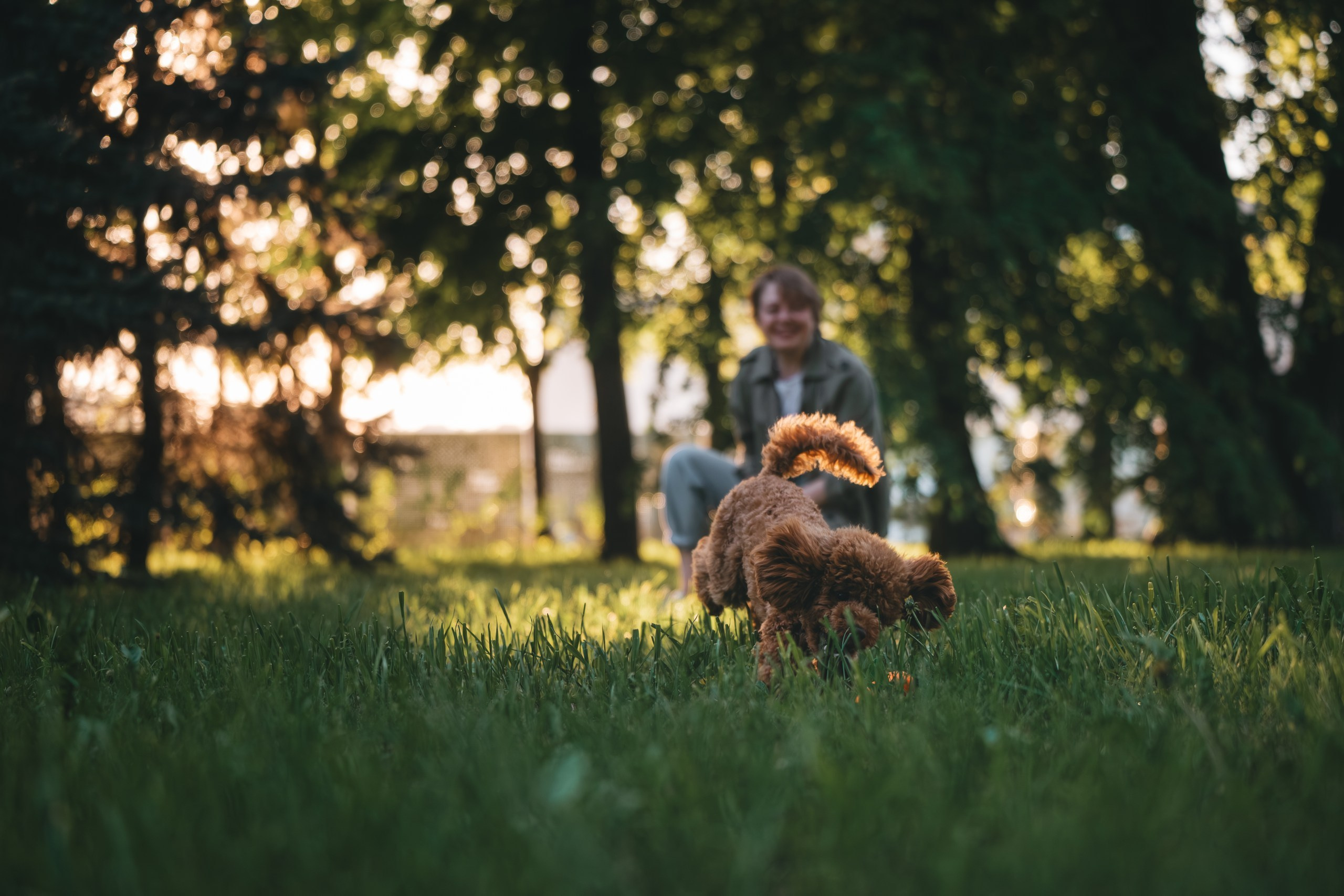 Юля с пуделем. Фотограф Анималист в Москве Анастасия Жучкова