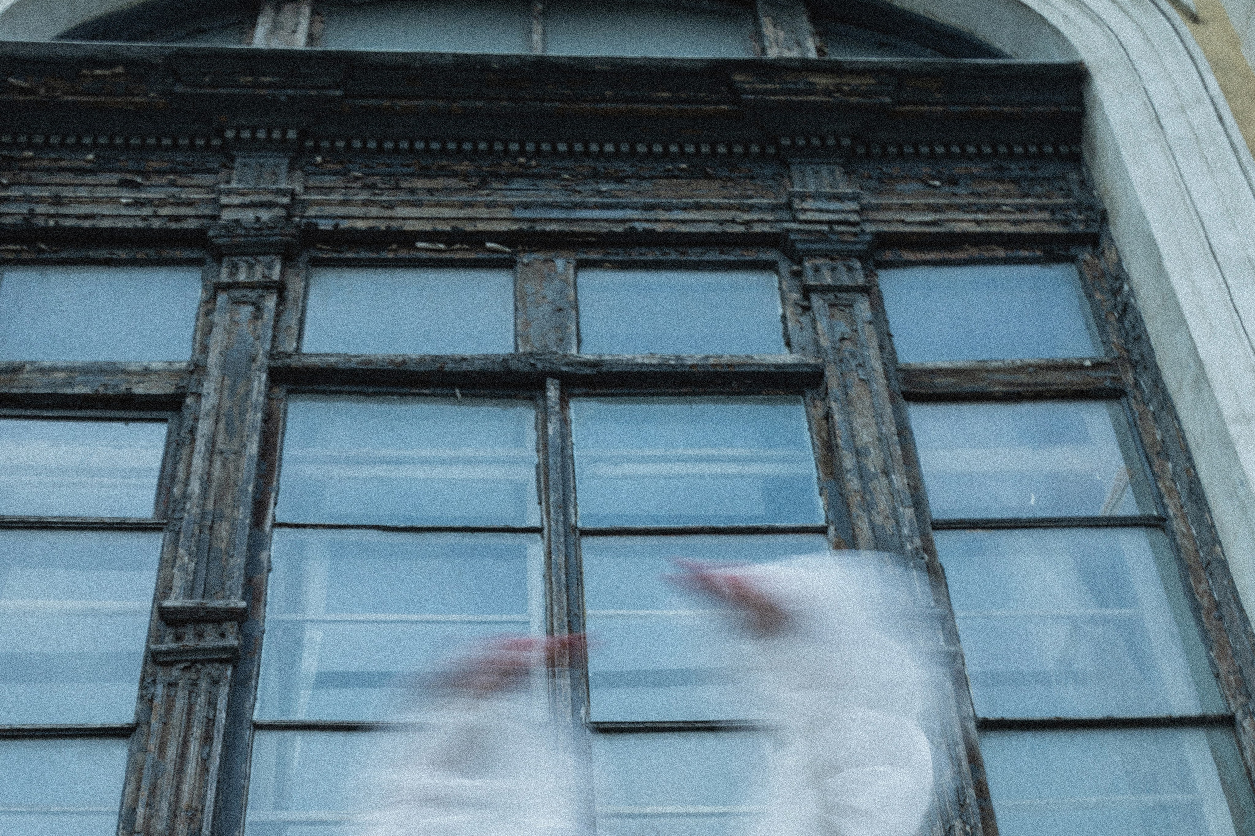 Эстетика П р о Я в л е н и я. Виноградова Маргарита. Фотограф P r o Явления